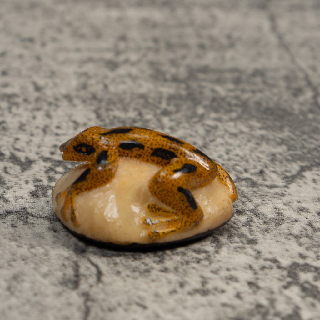 Vintage Gold And Black Poison Dart Frog Tagua Carving