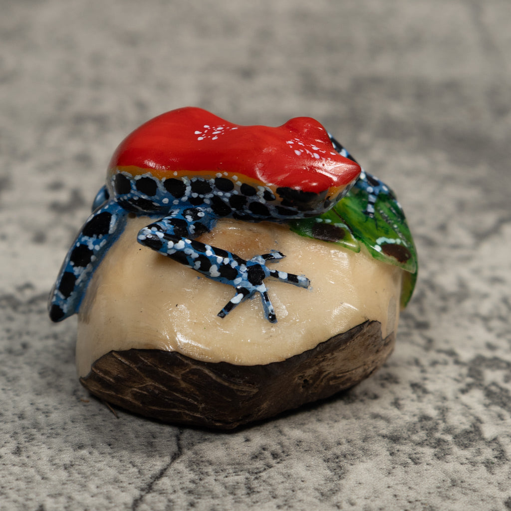 Red And Blue Poison Dart Frog Tagua Carving