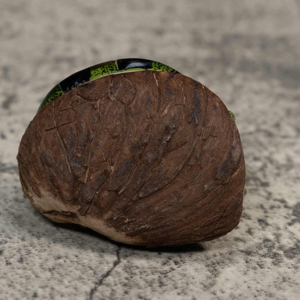 Green Iguana Lizard Tagua Carving