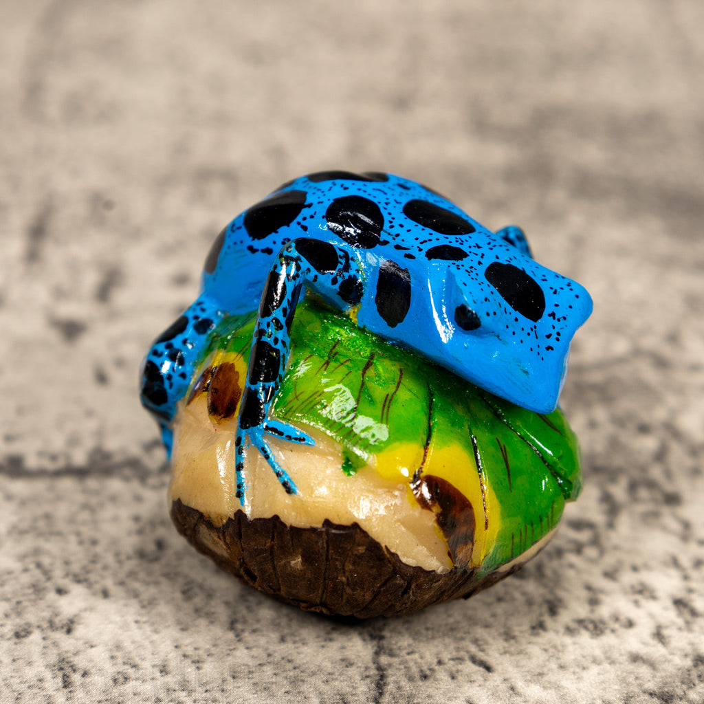 Blue And Black Poison Dart Frog Tagua Carving