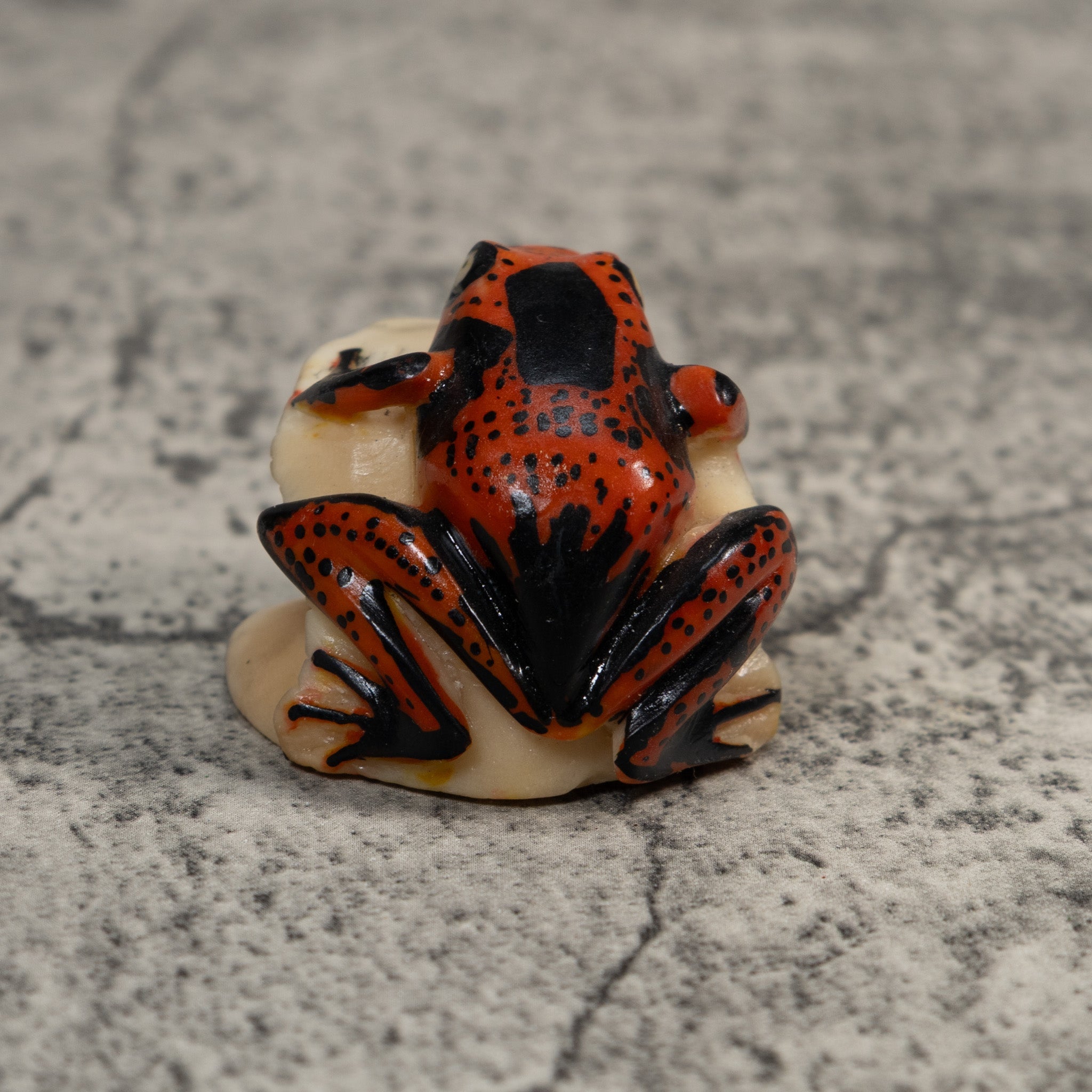 Black And Red Poison Dart Frog Tagua Carving