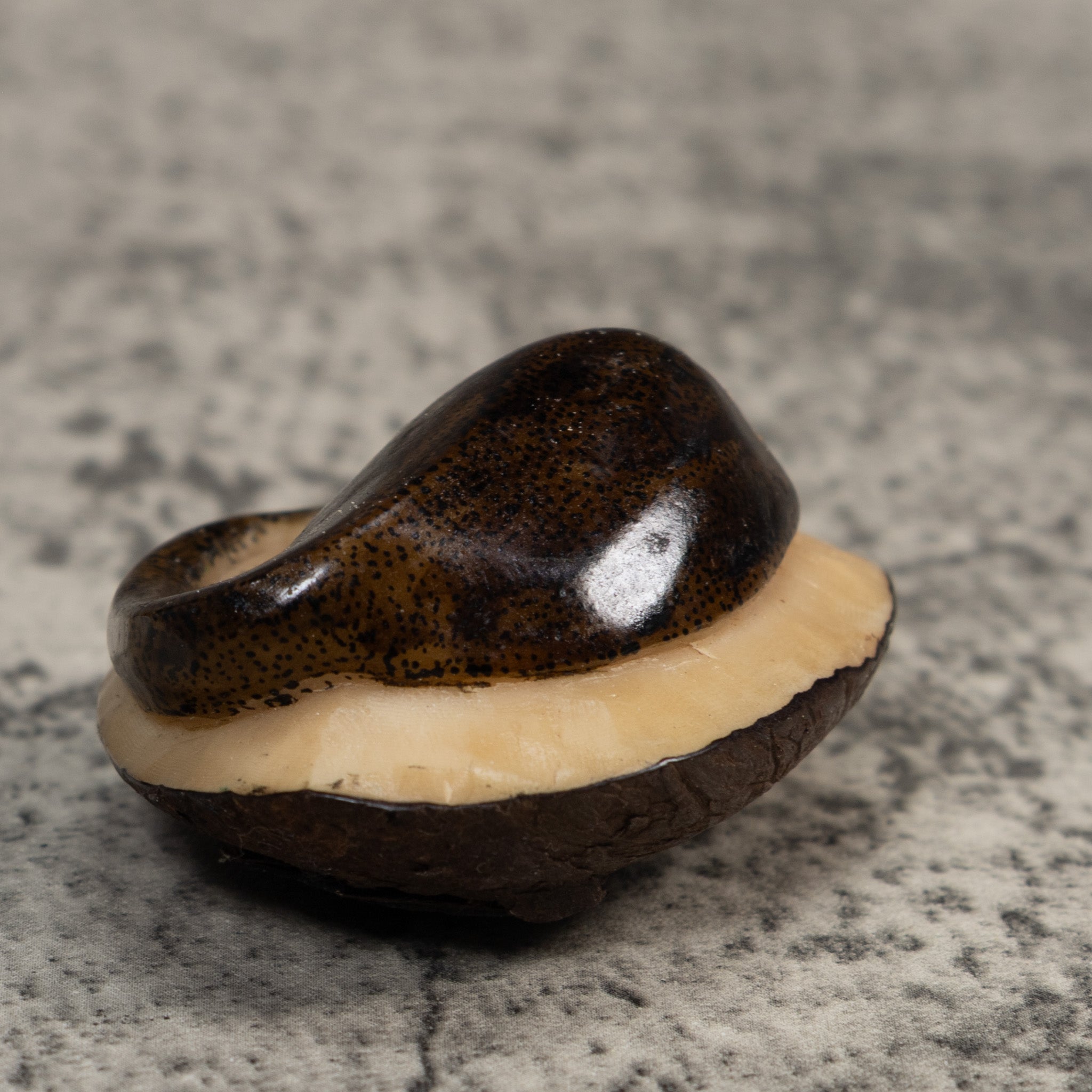 Brown Ocean Stingray Tagua Carving