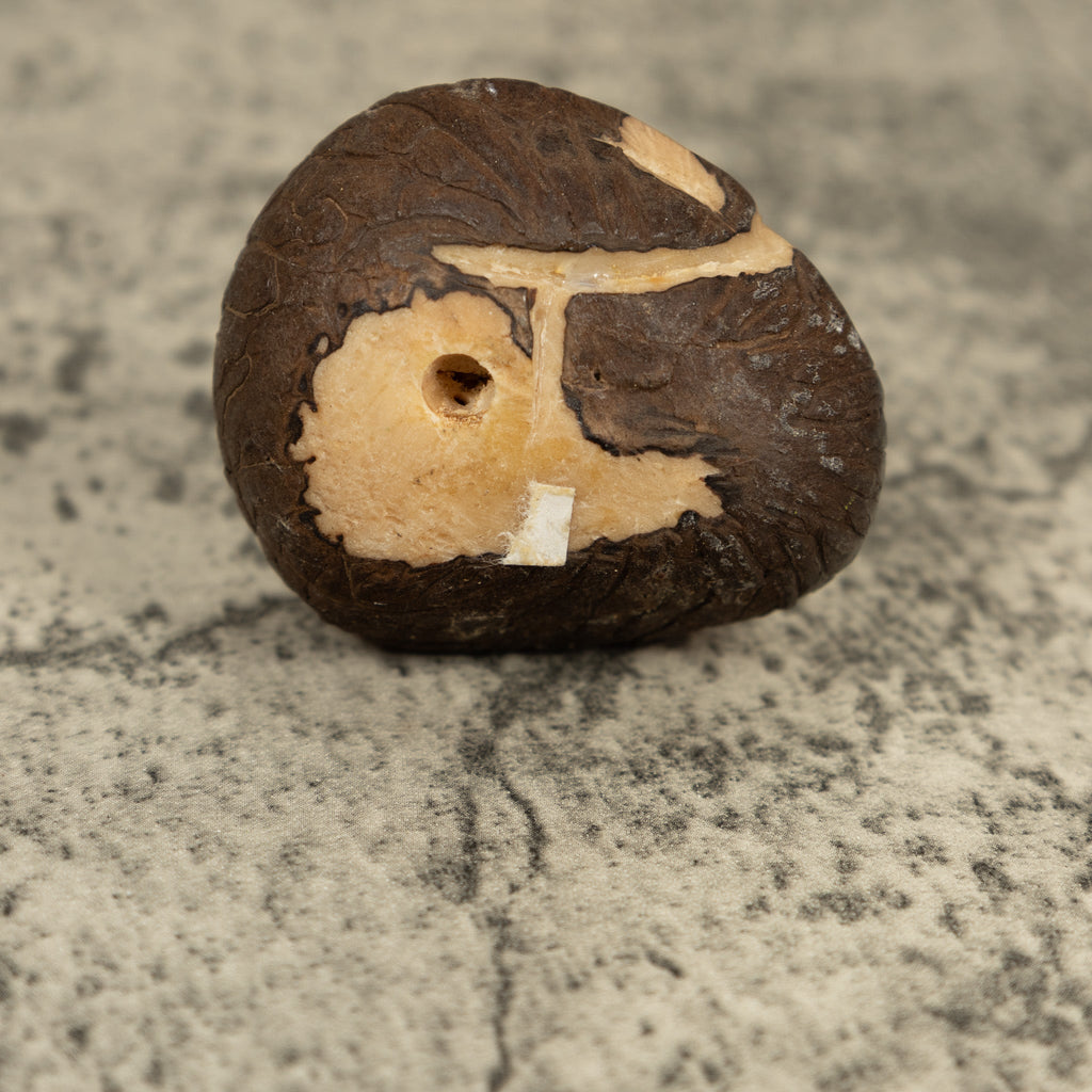 Vintage Orange And Black Poison Dart Frog Tagua Carving