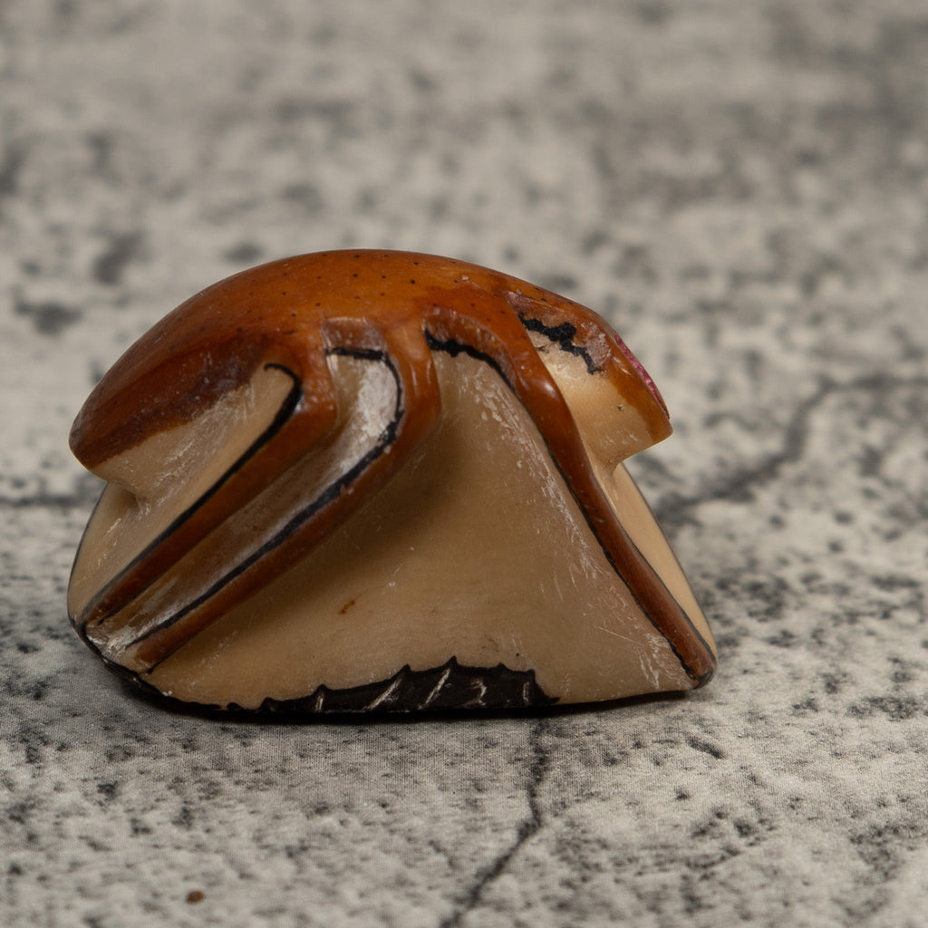 Vintage Brown Insect Tagua Carving