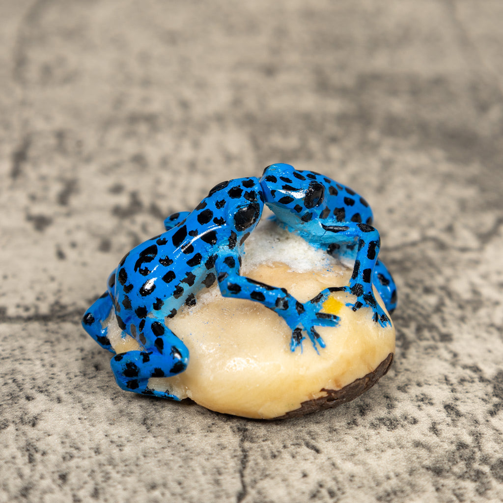 Black And Blue Double Poison Dart Frog Tagua Carving