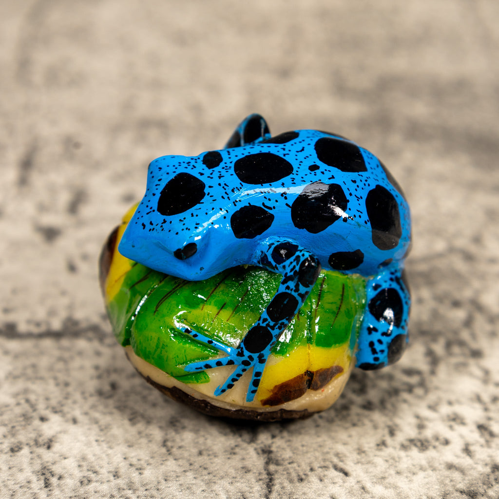 Blue And Black Poison Dart Frog Tagua Carving