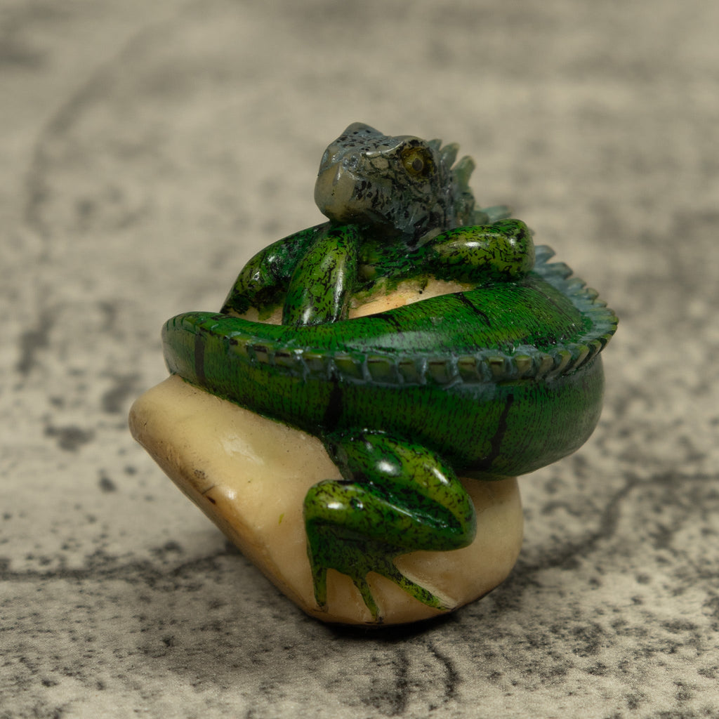 Iguana Lizard Reptile Tagua Carving