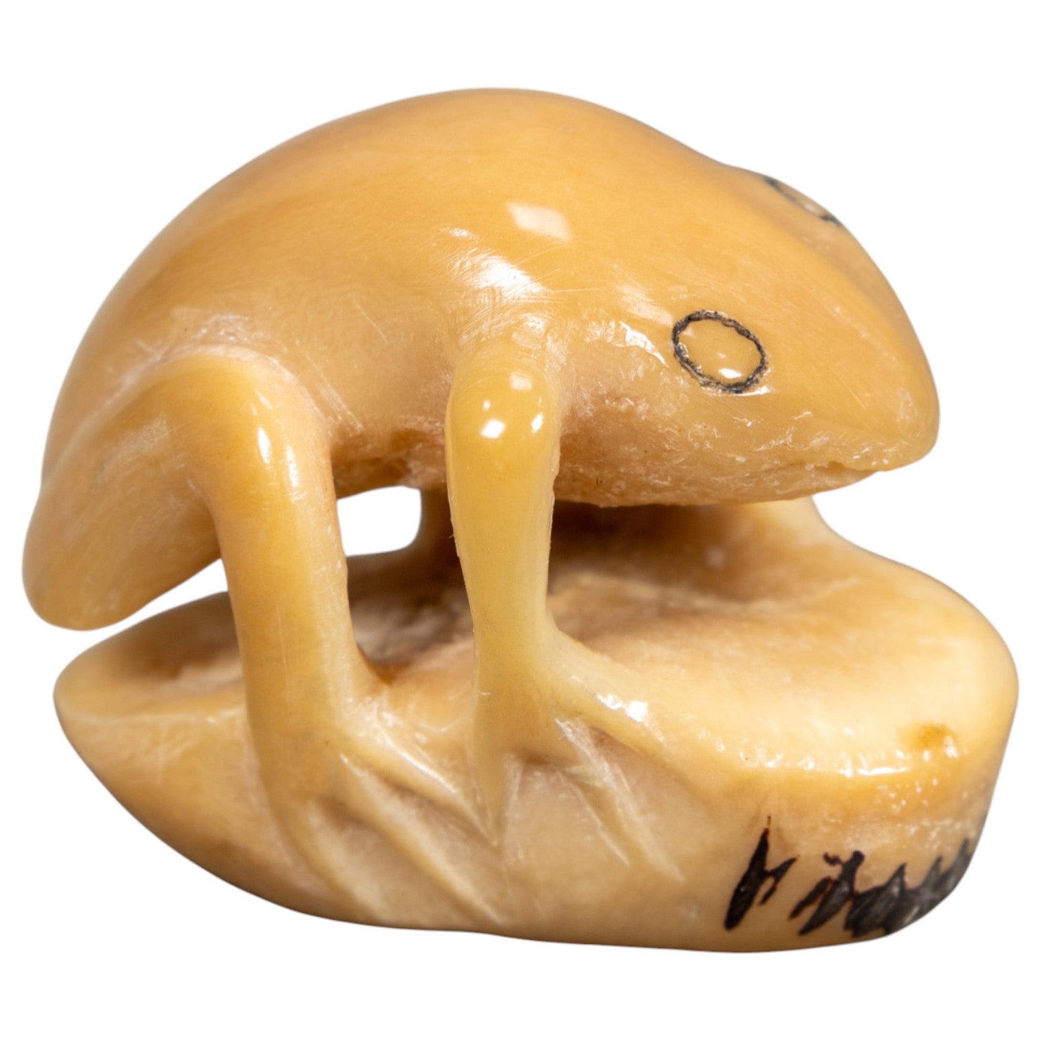Natural White Toad Frog Tagua Carving