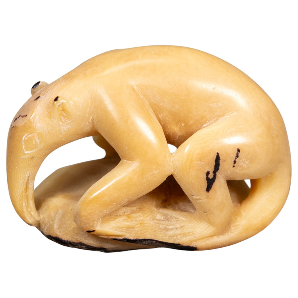 Natural White Anteater Tagua Carving