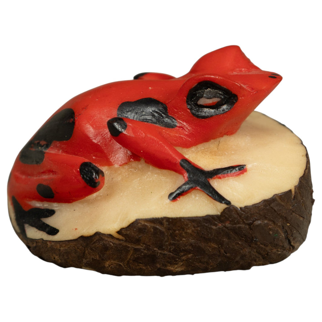 Vintage Red And Black Poison Dart Frog Tagua Carving