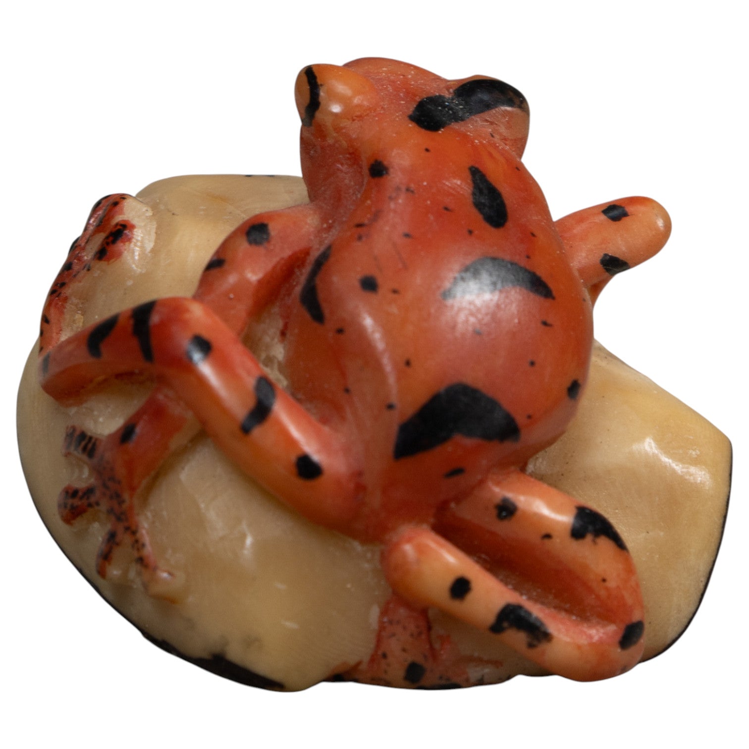 Vintage Orange And Black Anteater Tagua Carving