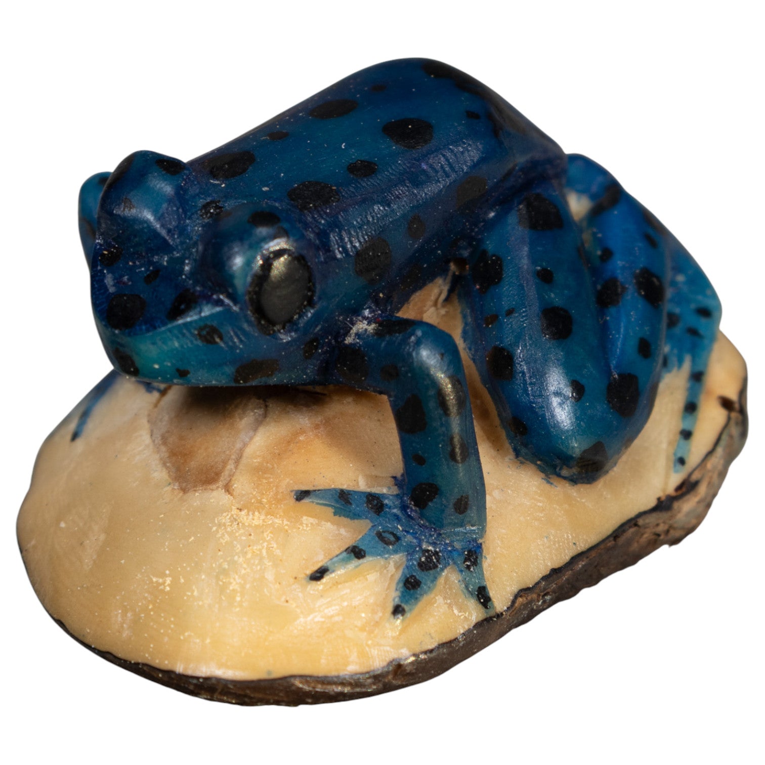 Vintage Black Anbd Blue Poison Dart Frog Tagua Carving