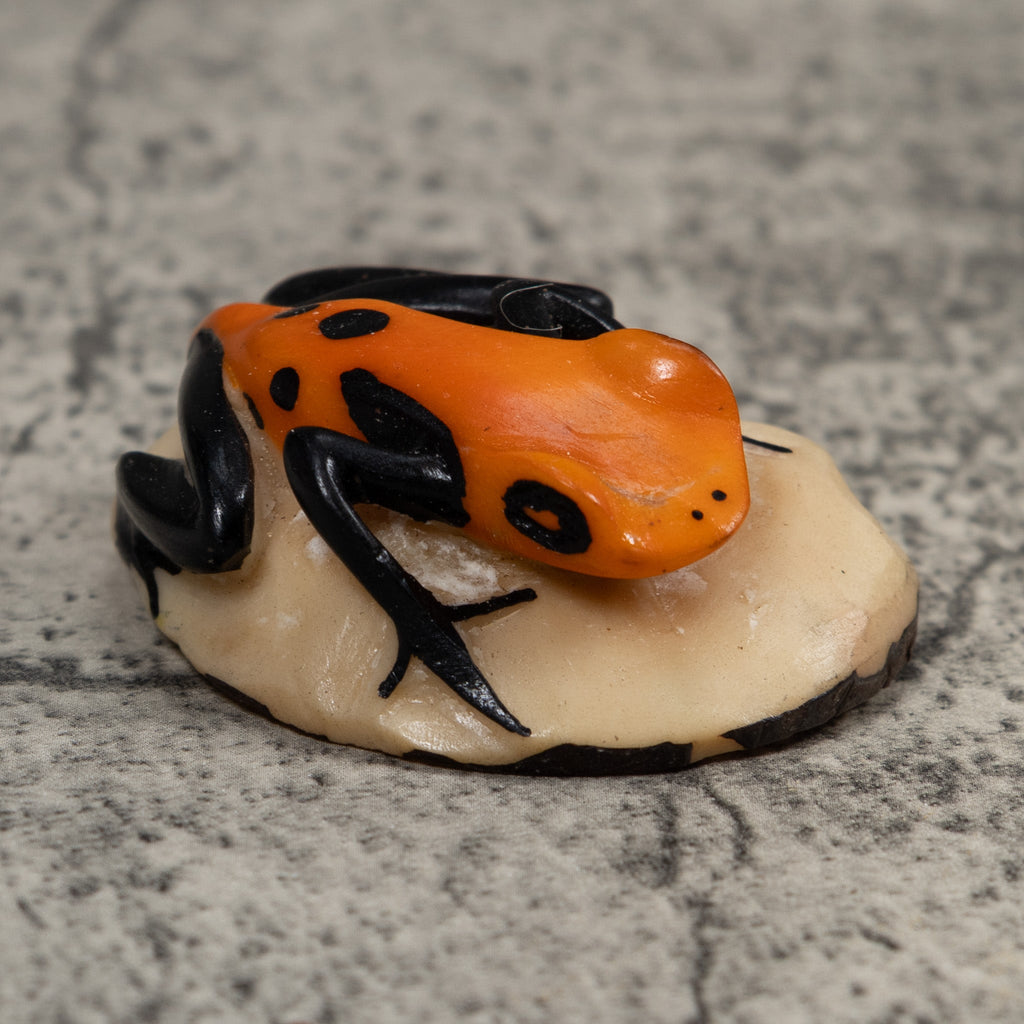 Vintage Orange And Black Frog Tagua Carving