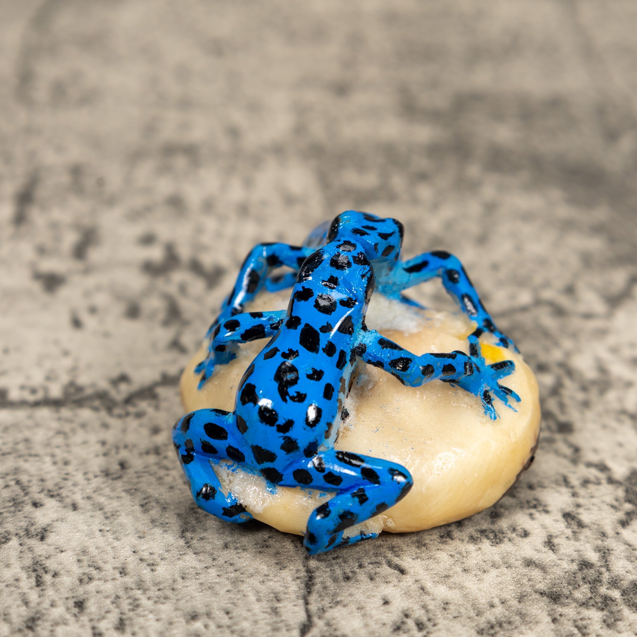 Black And Blue Double Poison Dart Frog Tagua Carving
