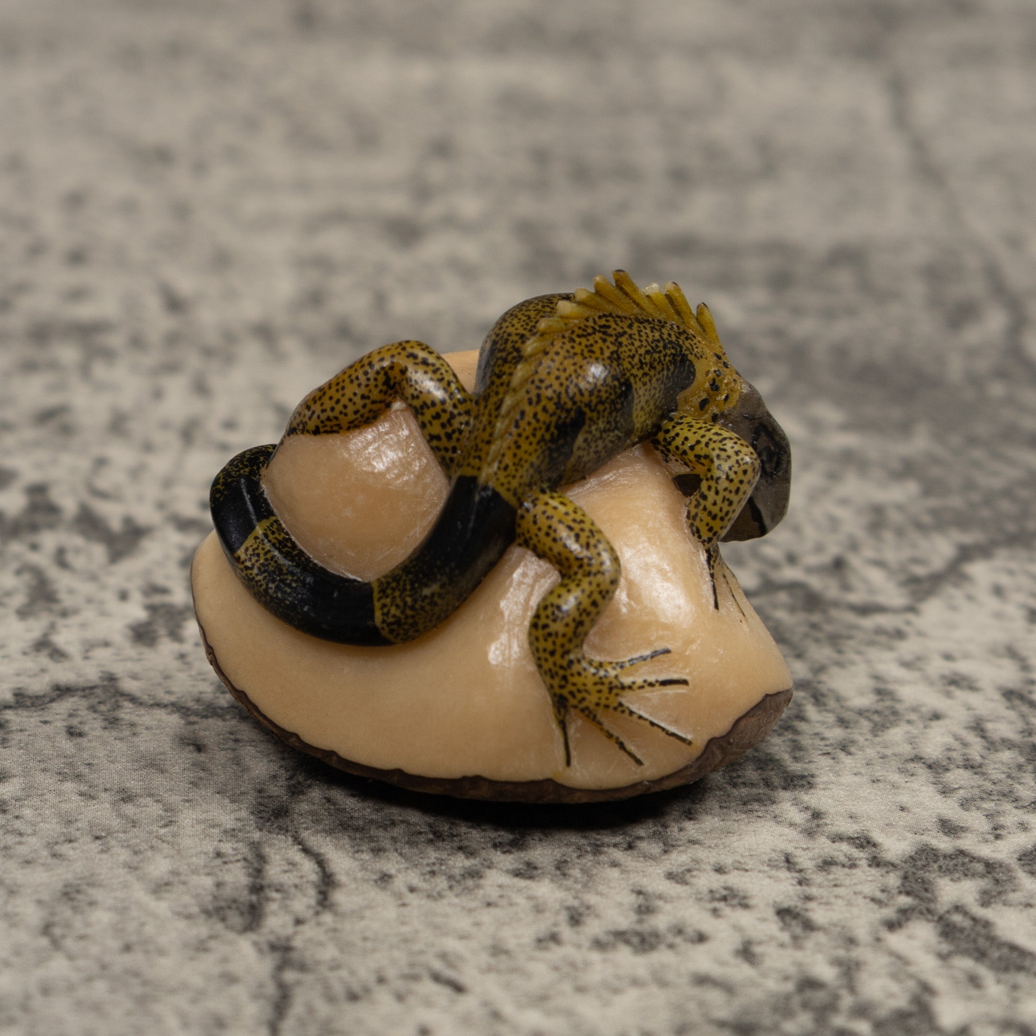 Iguana Lizard Reptile Tagua Carving