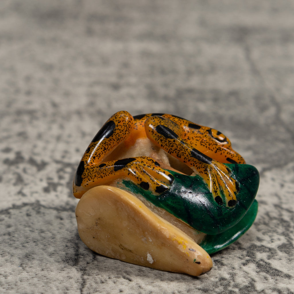 Black And Gold Poison Dart Frog With Leaves Tagua Carving