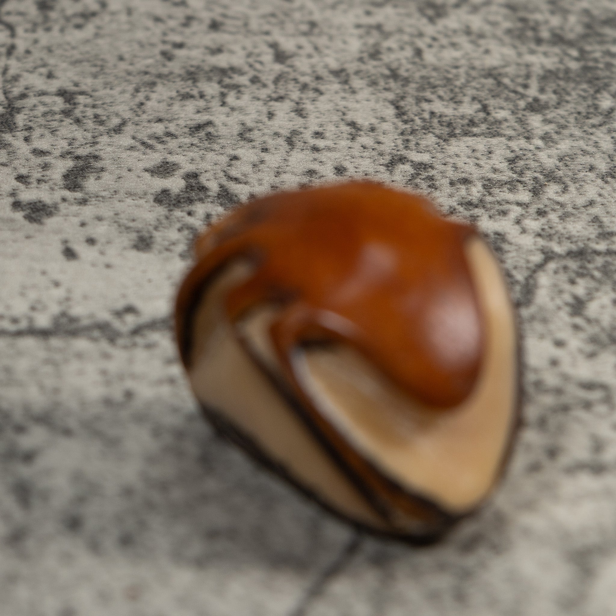 Vintage Brown Insect Tagua Carving