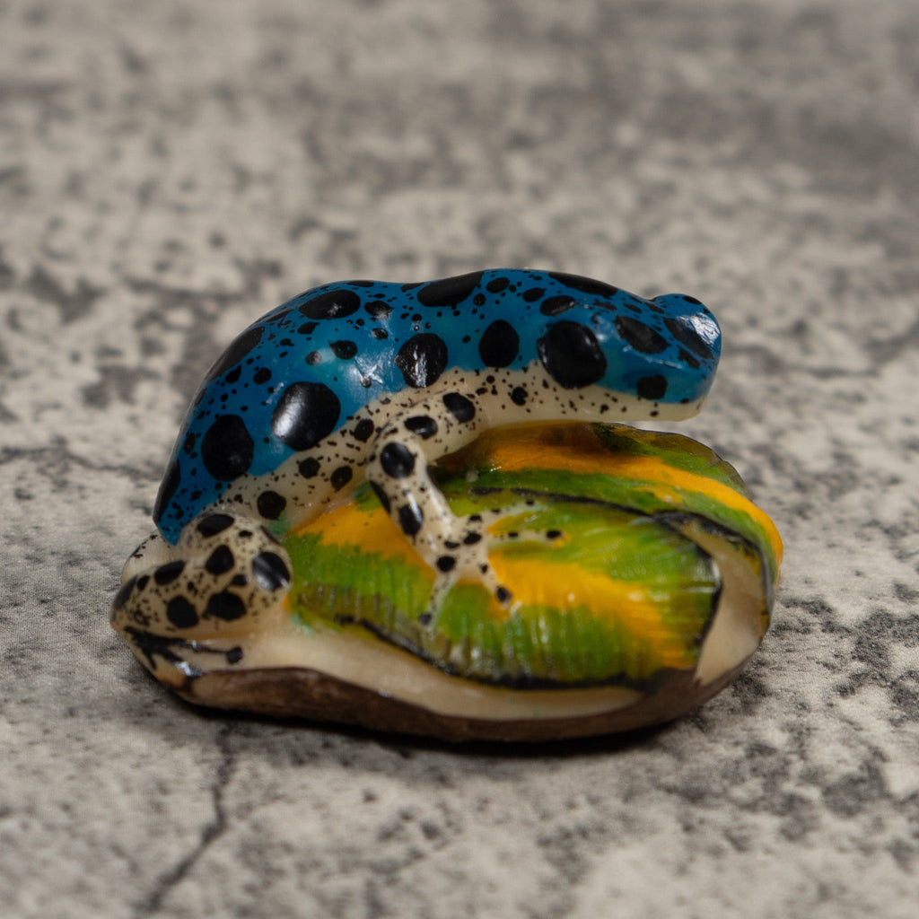 Blue And White Dart Frog Tagua Carving