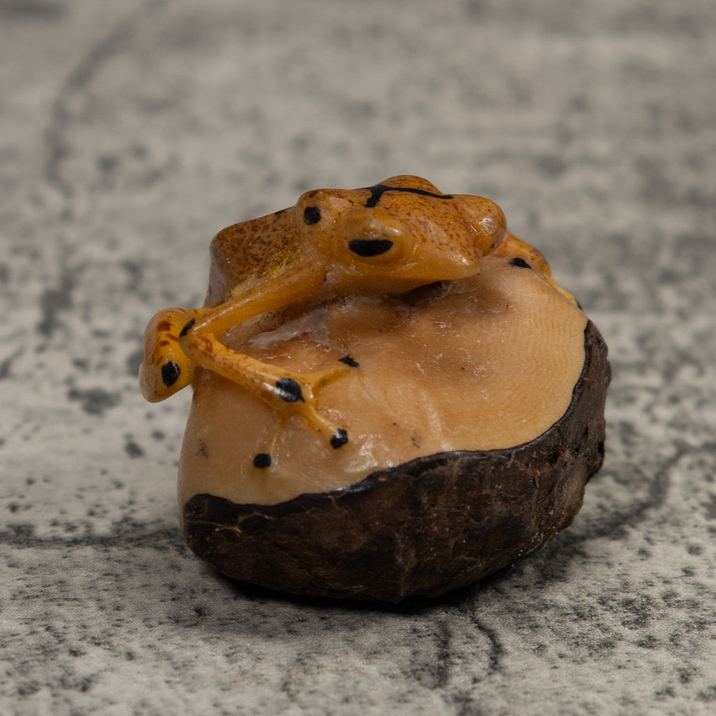 Vintage Poison Dart Frog Tagua Carving