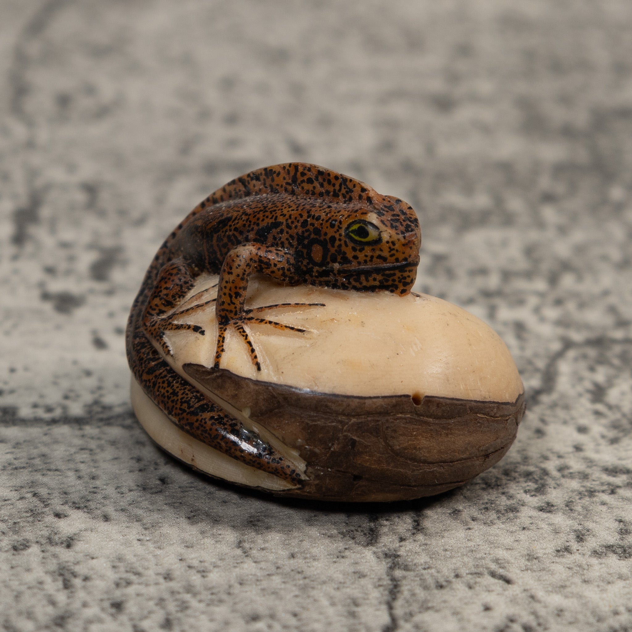 Brown And Black Gecko Lizard Tagua Carving