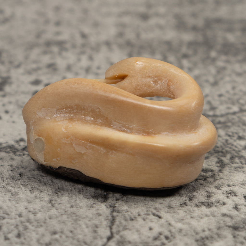 Natural White Snake Tagua Carving