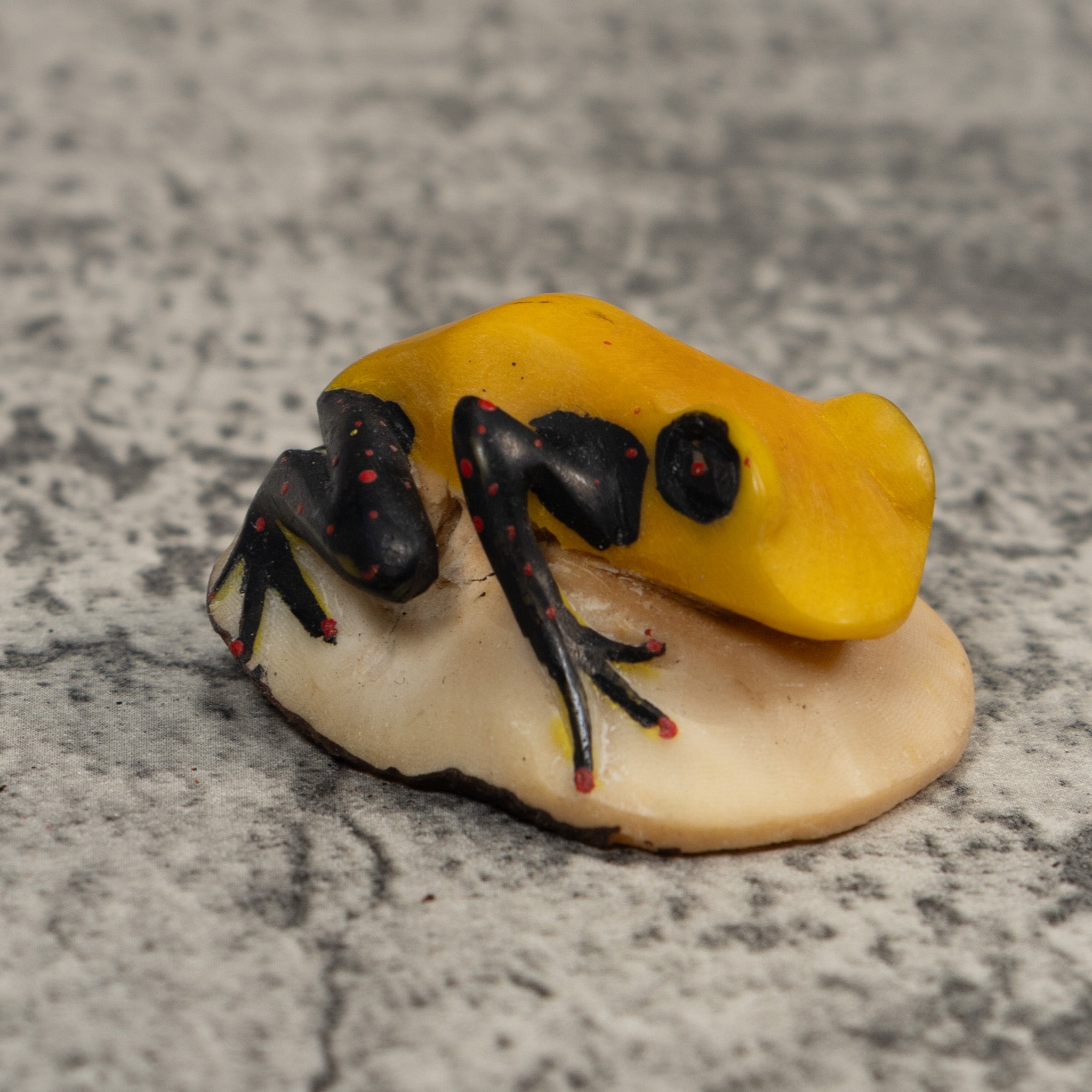 Vintage Black Red And Yellow Frog Tagua Carving