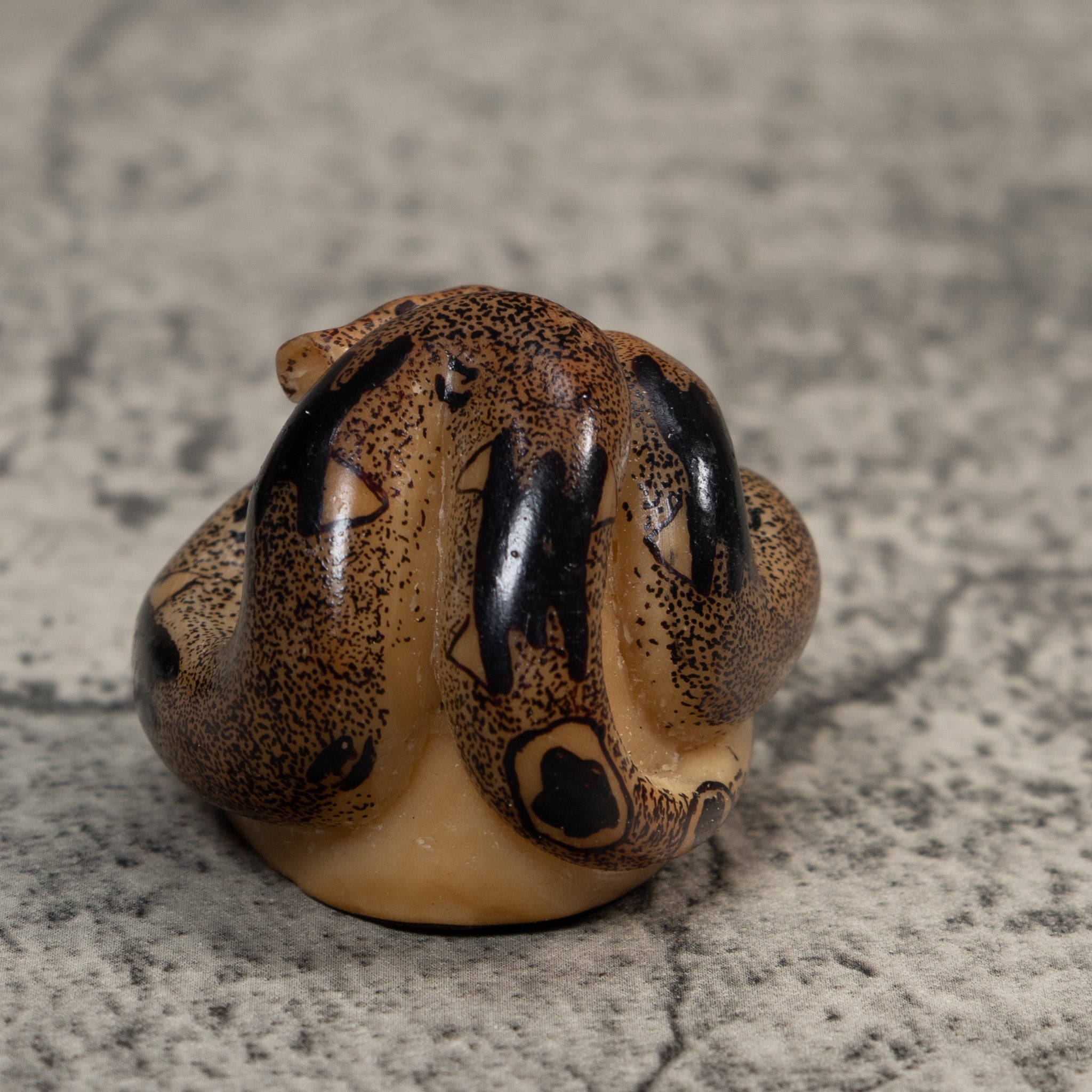 Brown And Black Boa Snake Tagua Carving