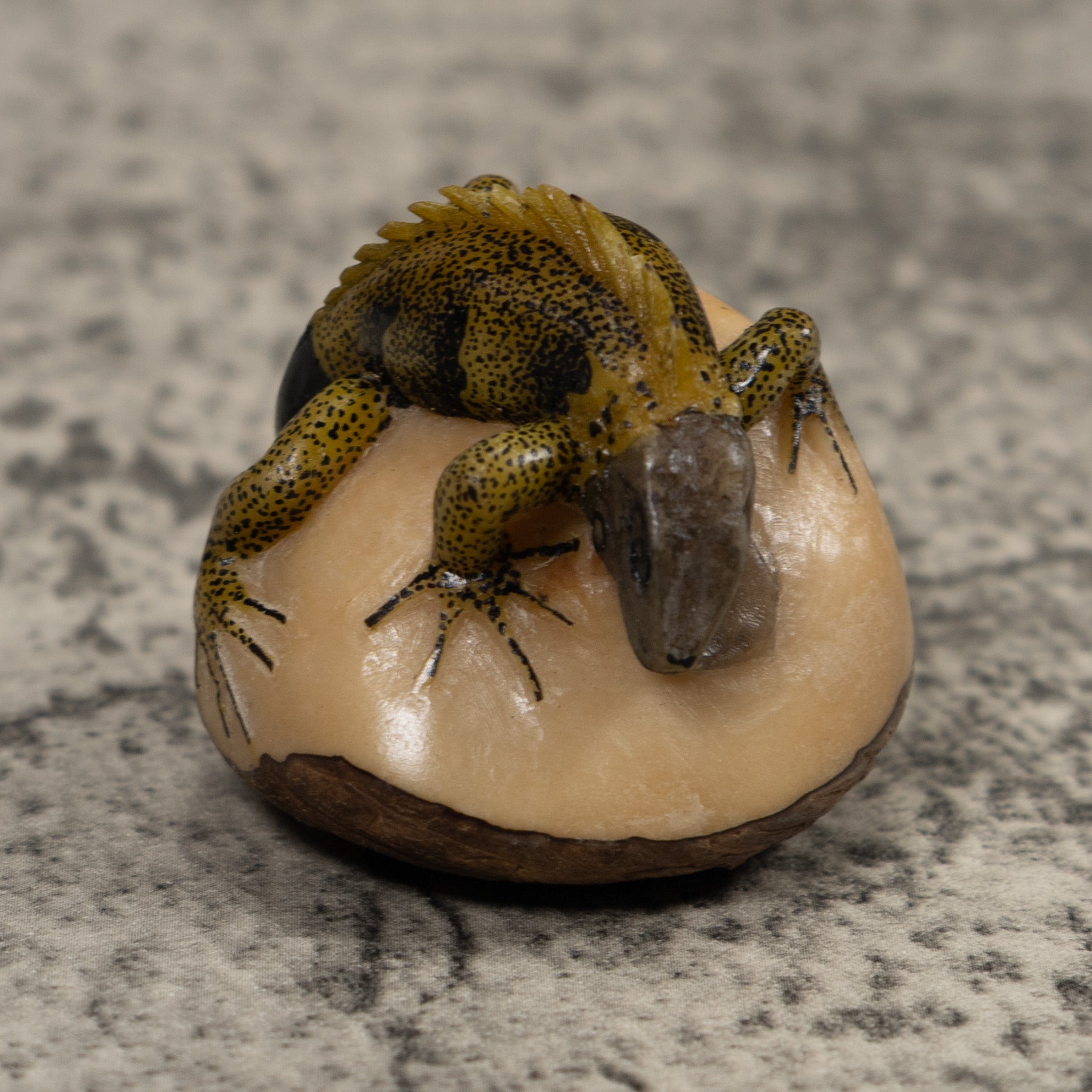 Iguana Lizard Reptile Tagua Carving