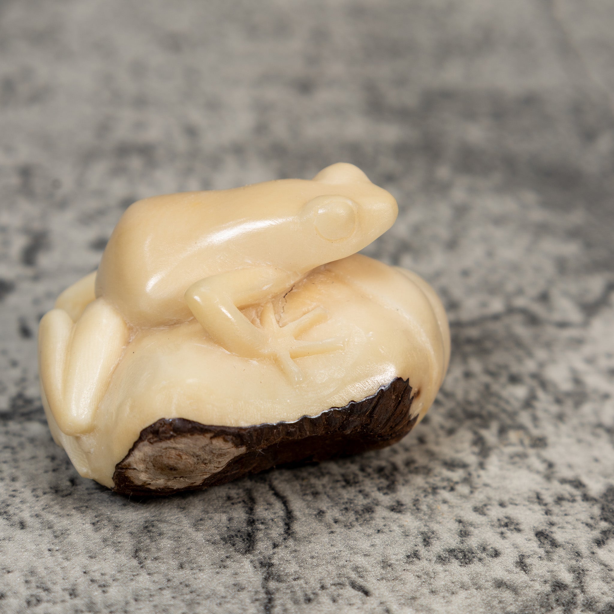 Natural White Rainforest Frog Tagua Carving