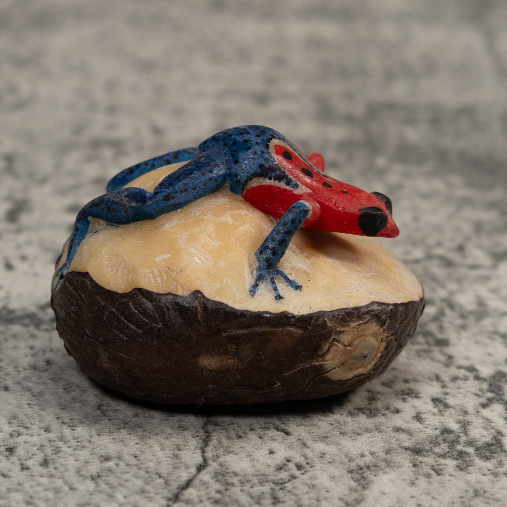 Red And Blue Poison Dart Frog Tagua Carving