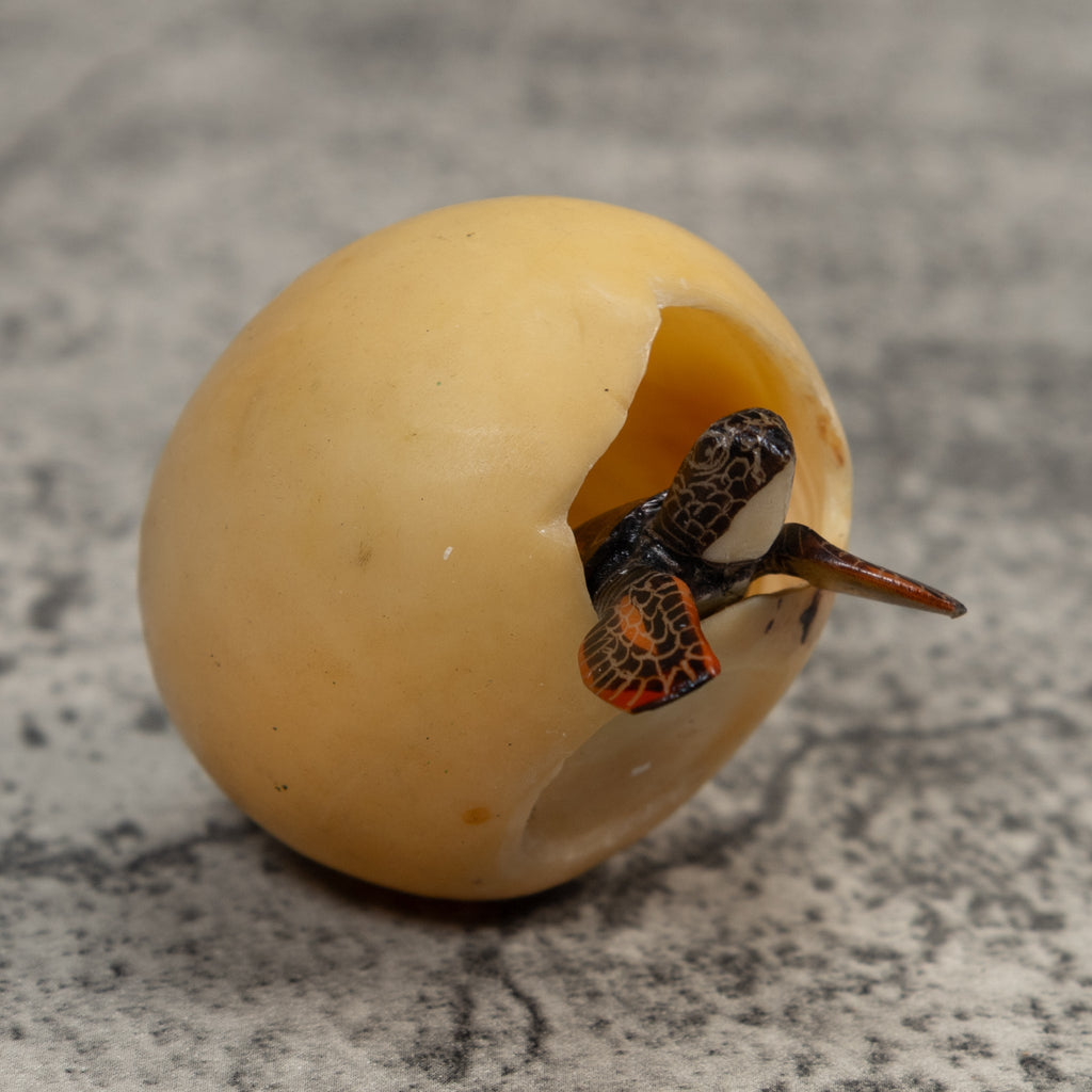 Sea Turtle Emerging From Egg Tagua Carving