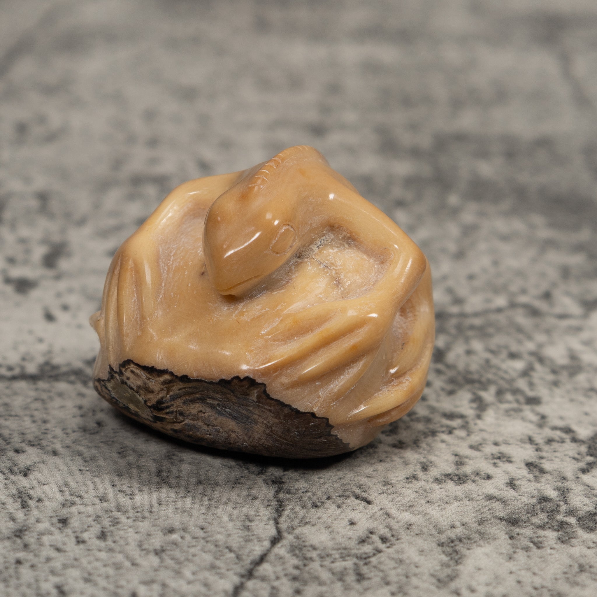 Vintage White Natural Iguana Tagua Carving