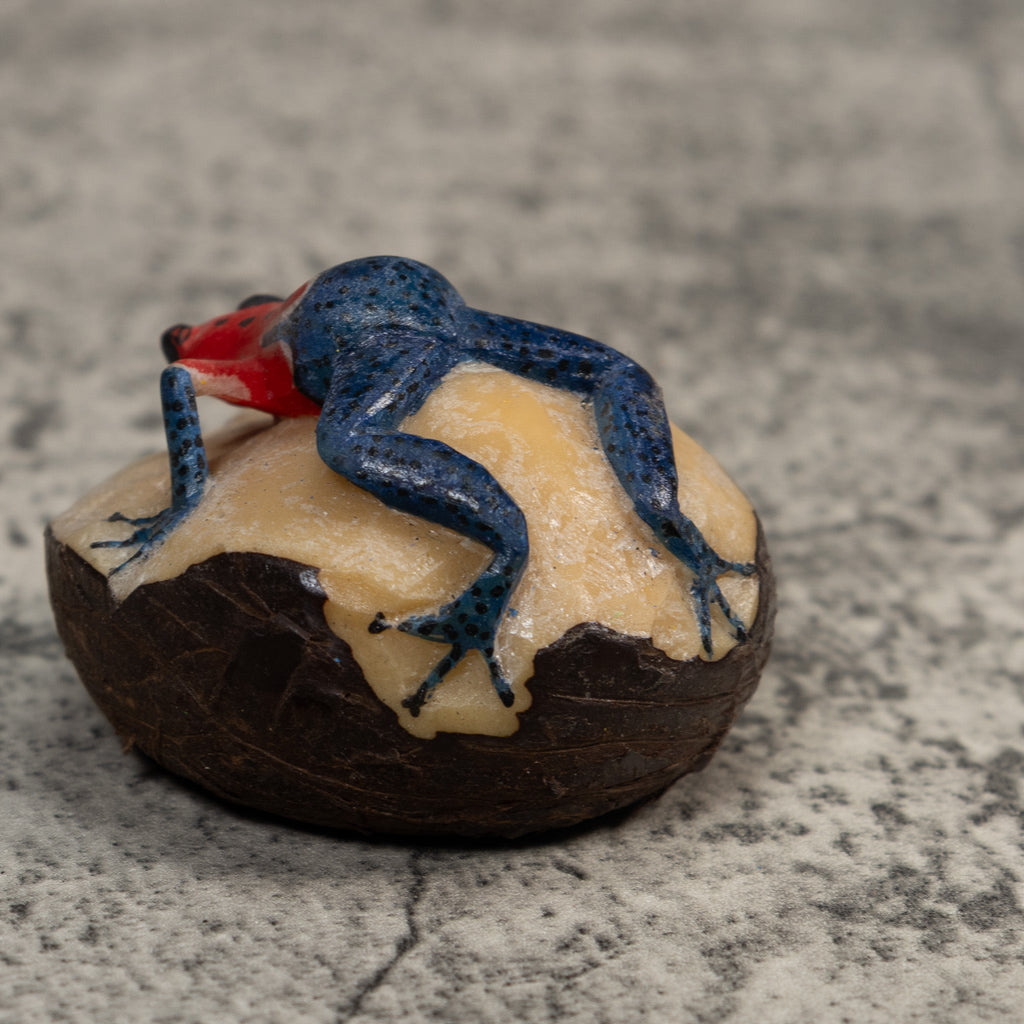 Red And Blue Poison Dart Frog Tagua Carving