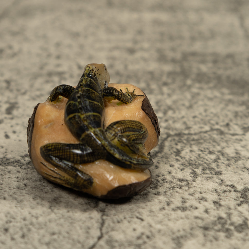 Iguana Lizard Tagua Carving