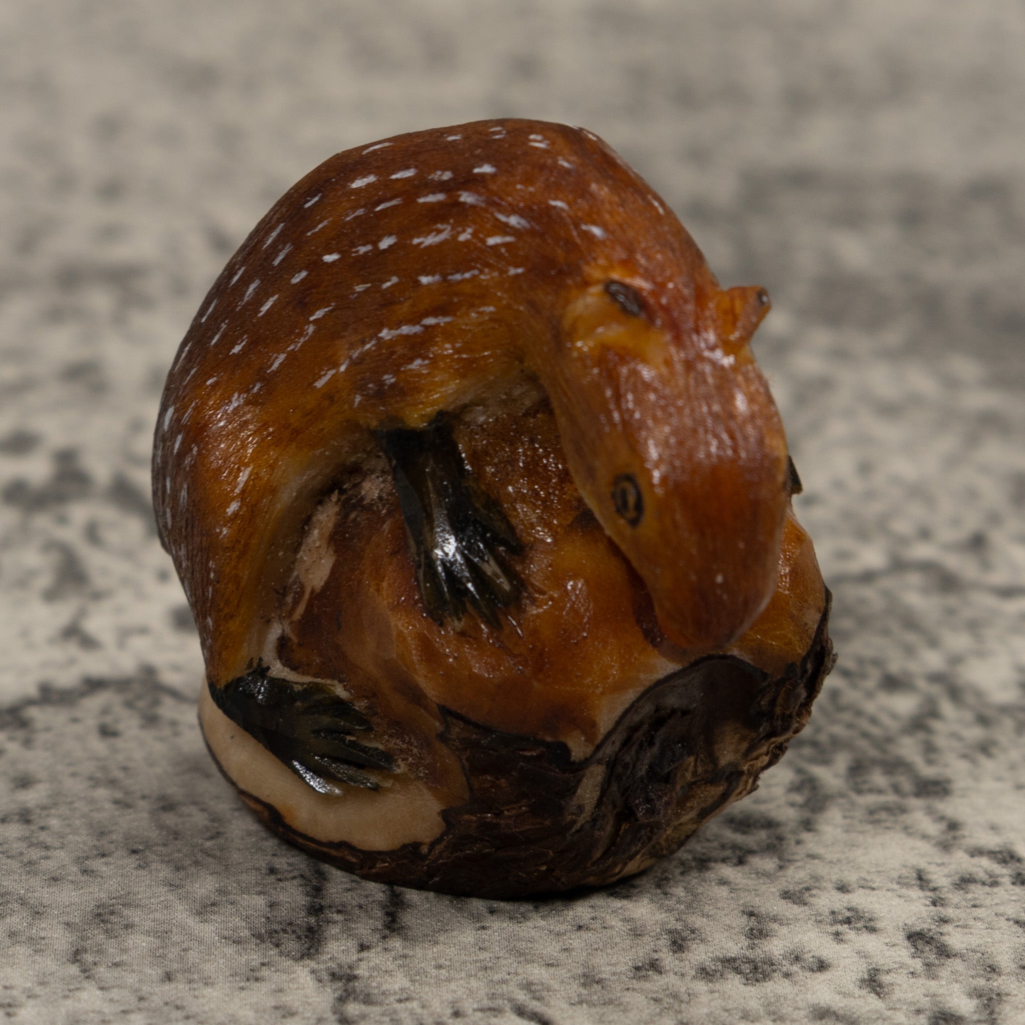 Neque Conojo Pintado Tagua Carving