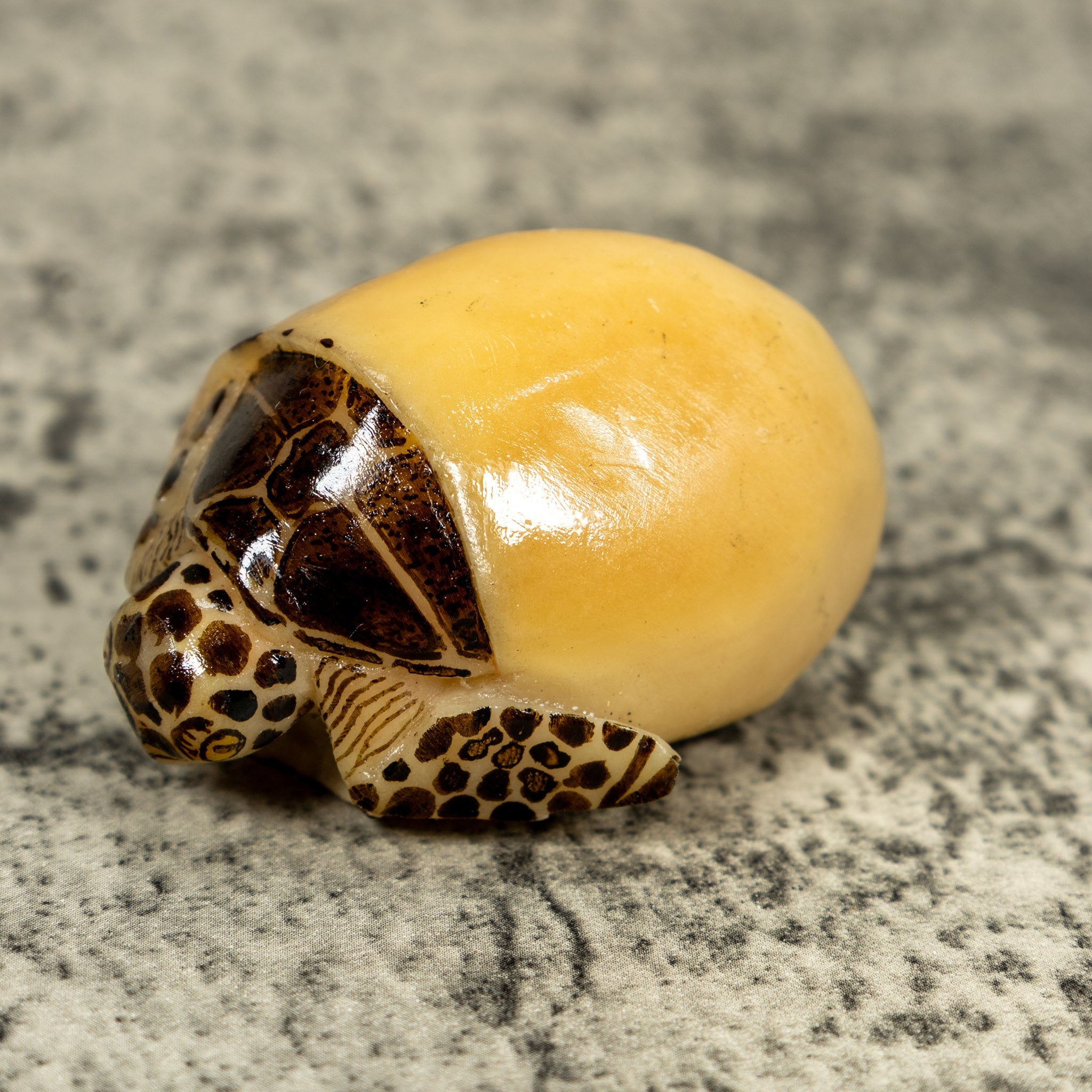 Vintage Sea Turtle Emerging From Egg Tagua Carving