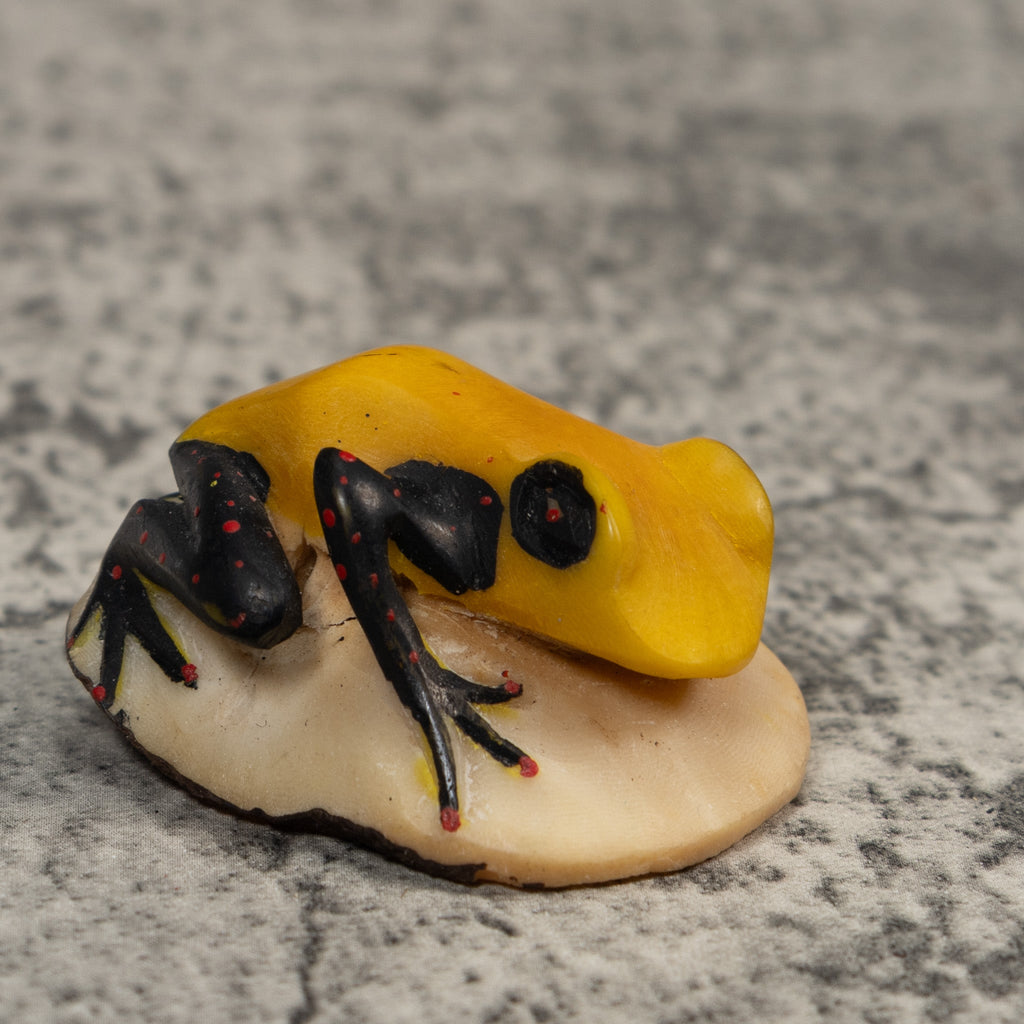 Vintage Black Red And Yellow Frog Tagua Carving