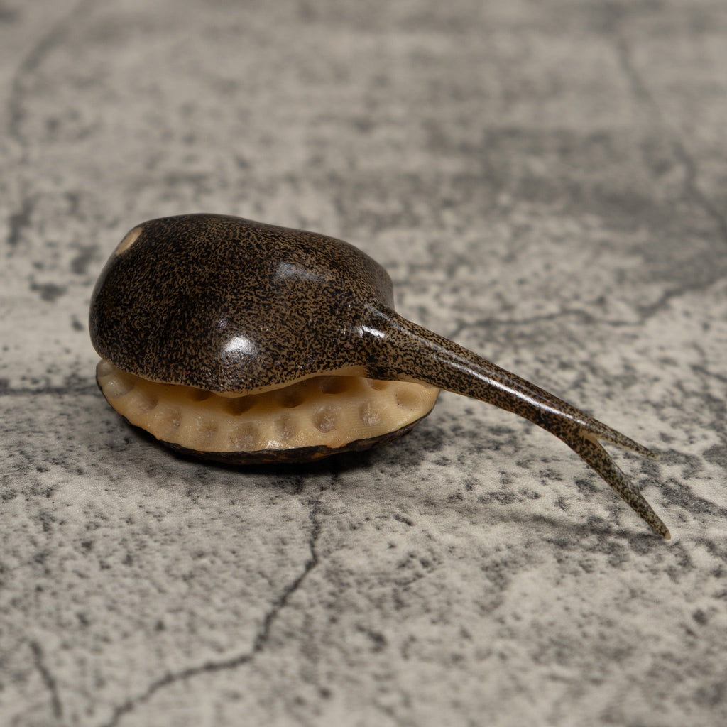 Ocean Stingray Tagua Carving