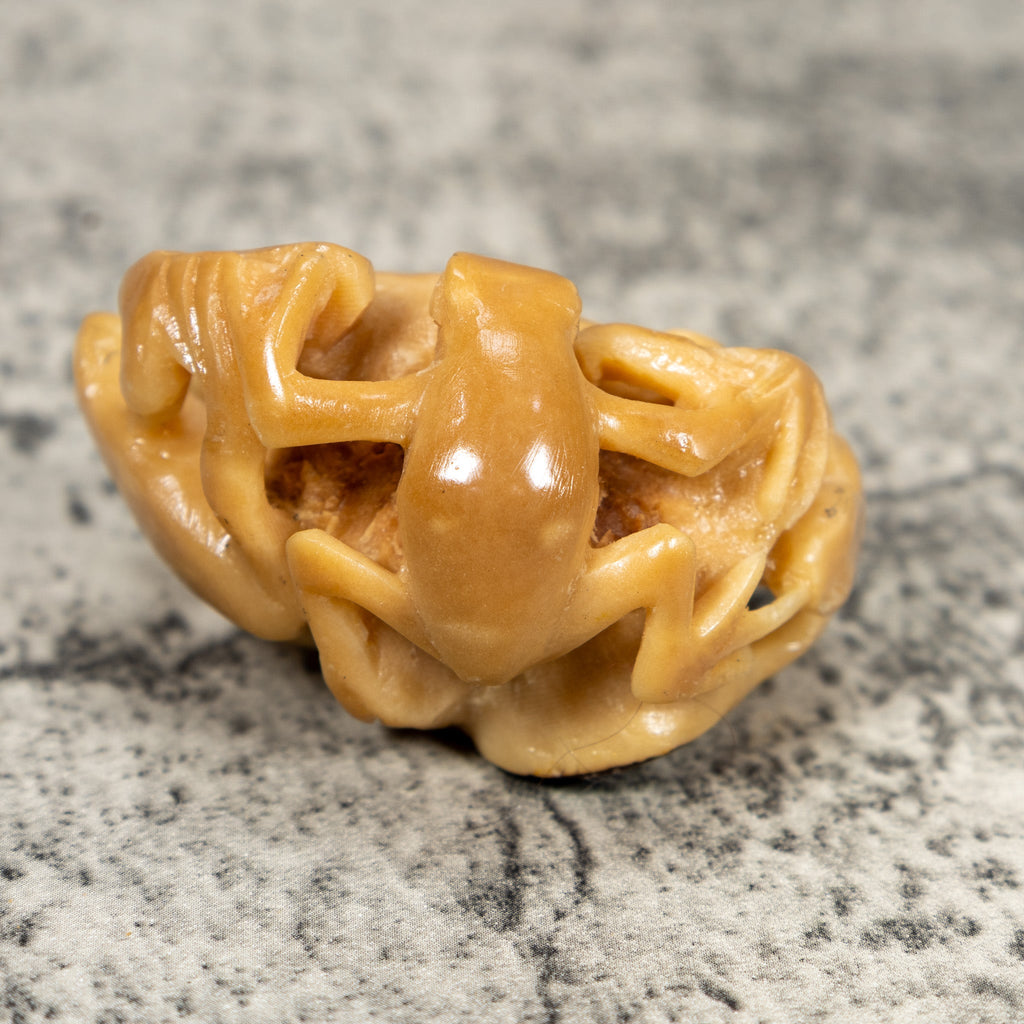 Multiple Natural White Frog Tagua Carving