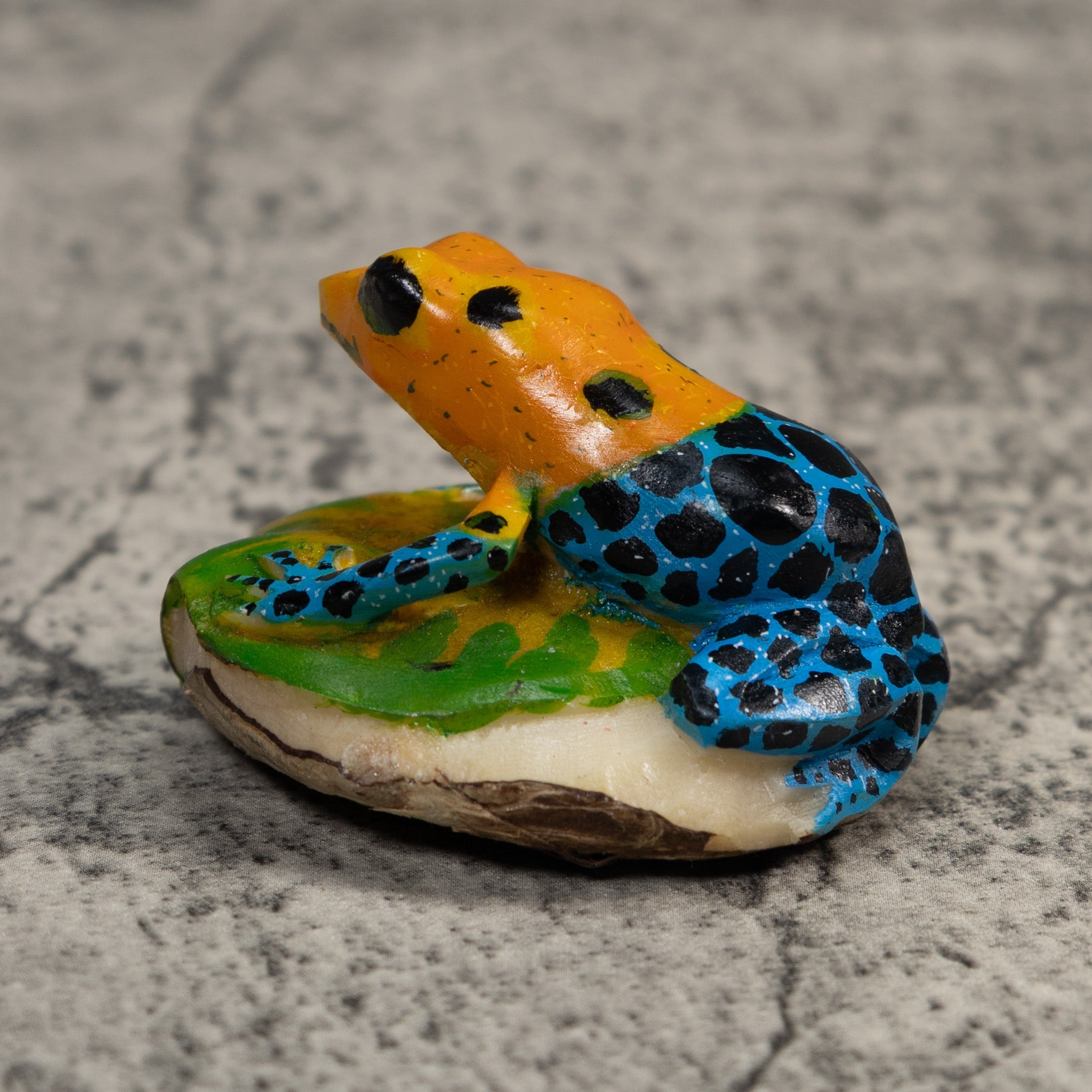 Blue Orange And Black Poison Dart Frog Tagua Carving