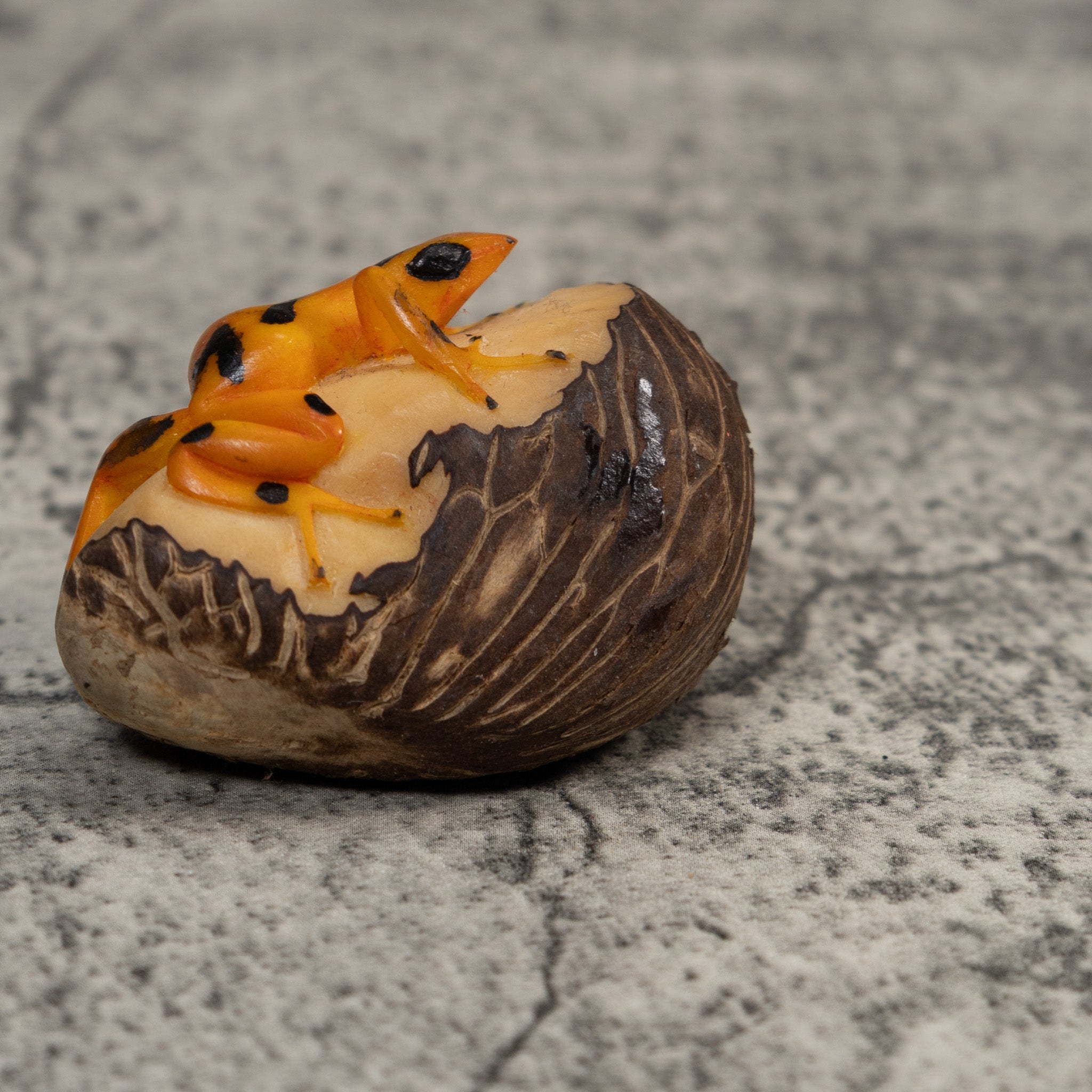 Vintage Black And Golden Frog Tagua Carving