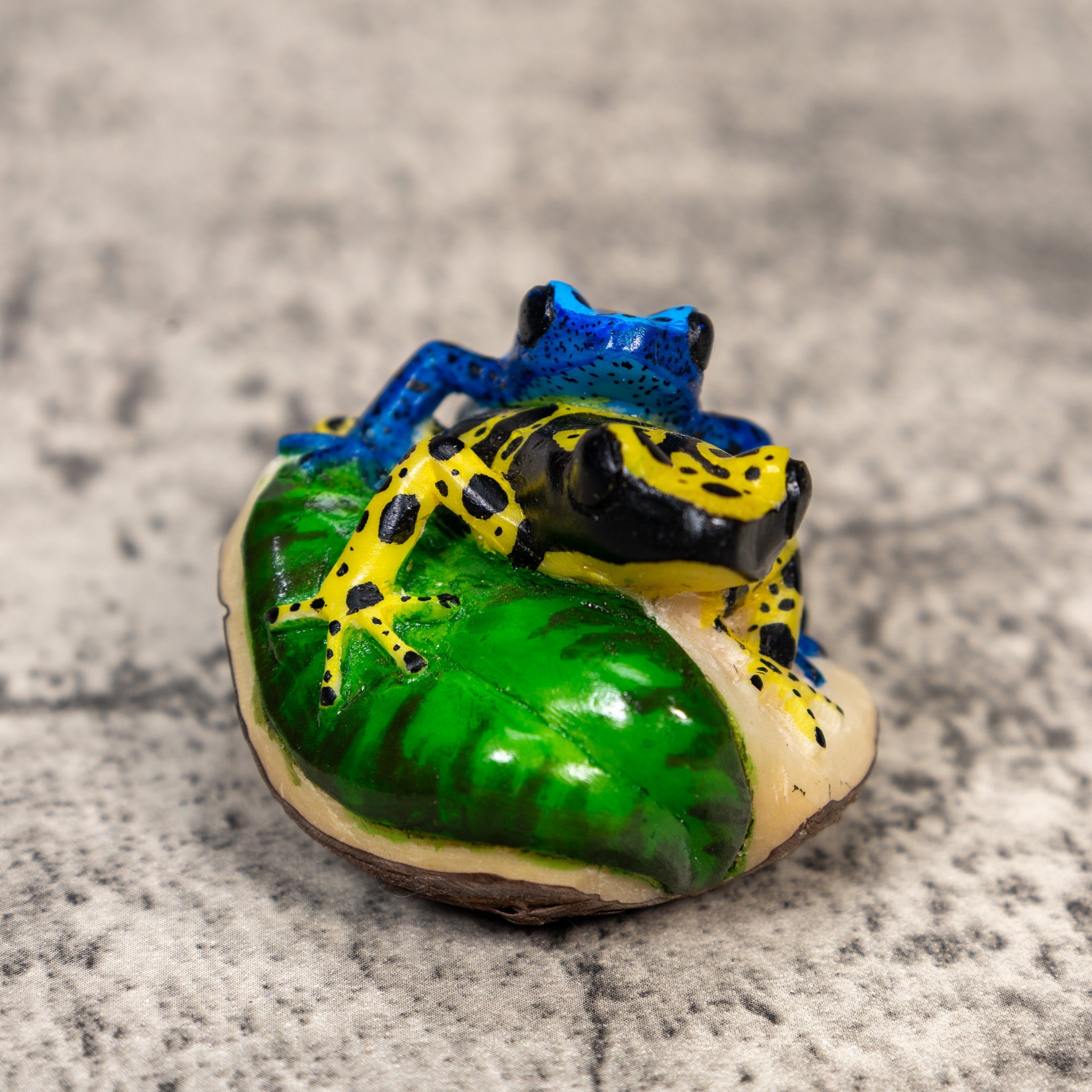 Two Poison Dart Frog Tagua Carving