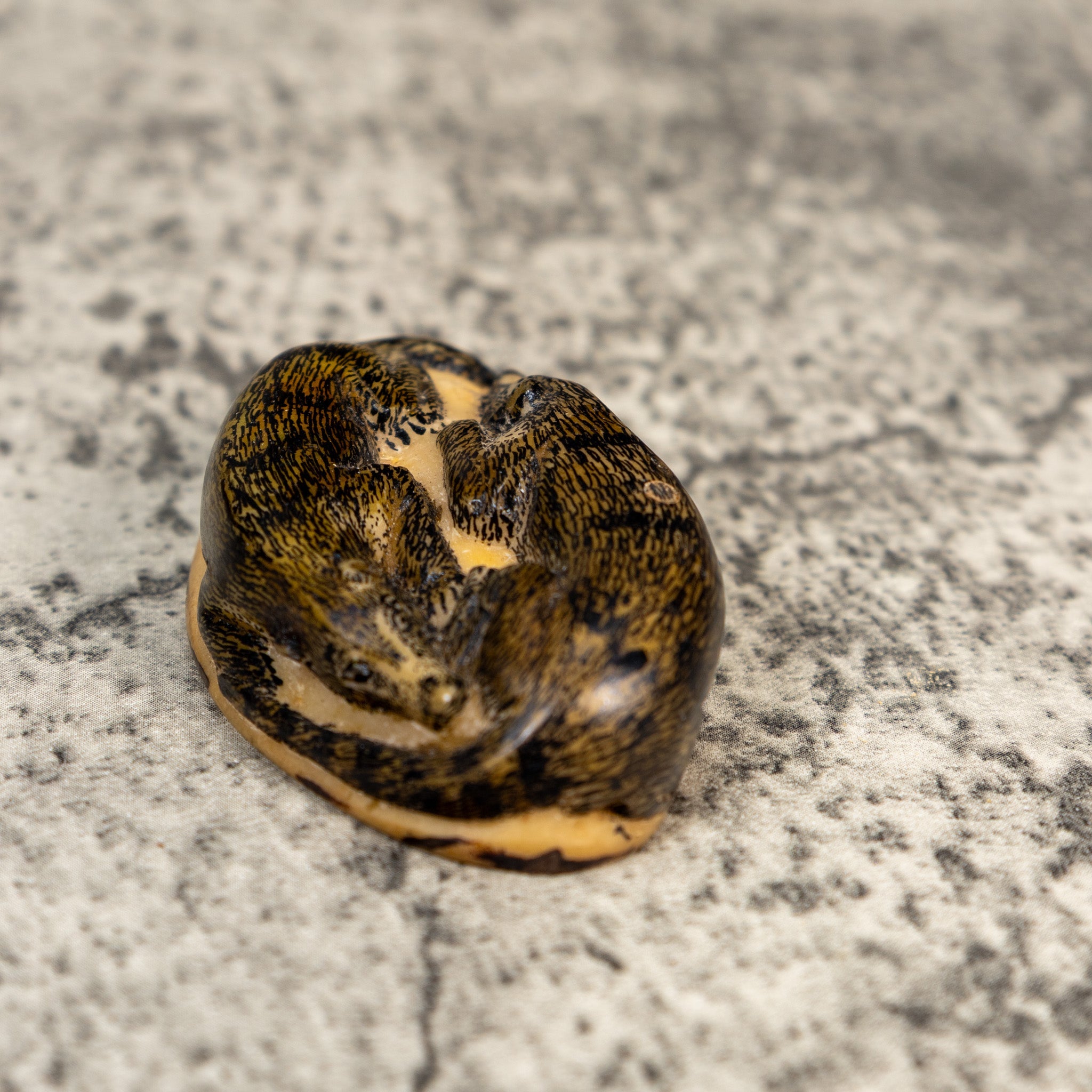 Double Coatimundi Tagua Carving