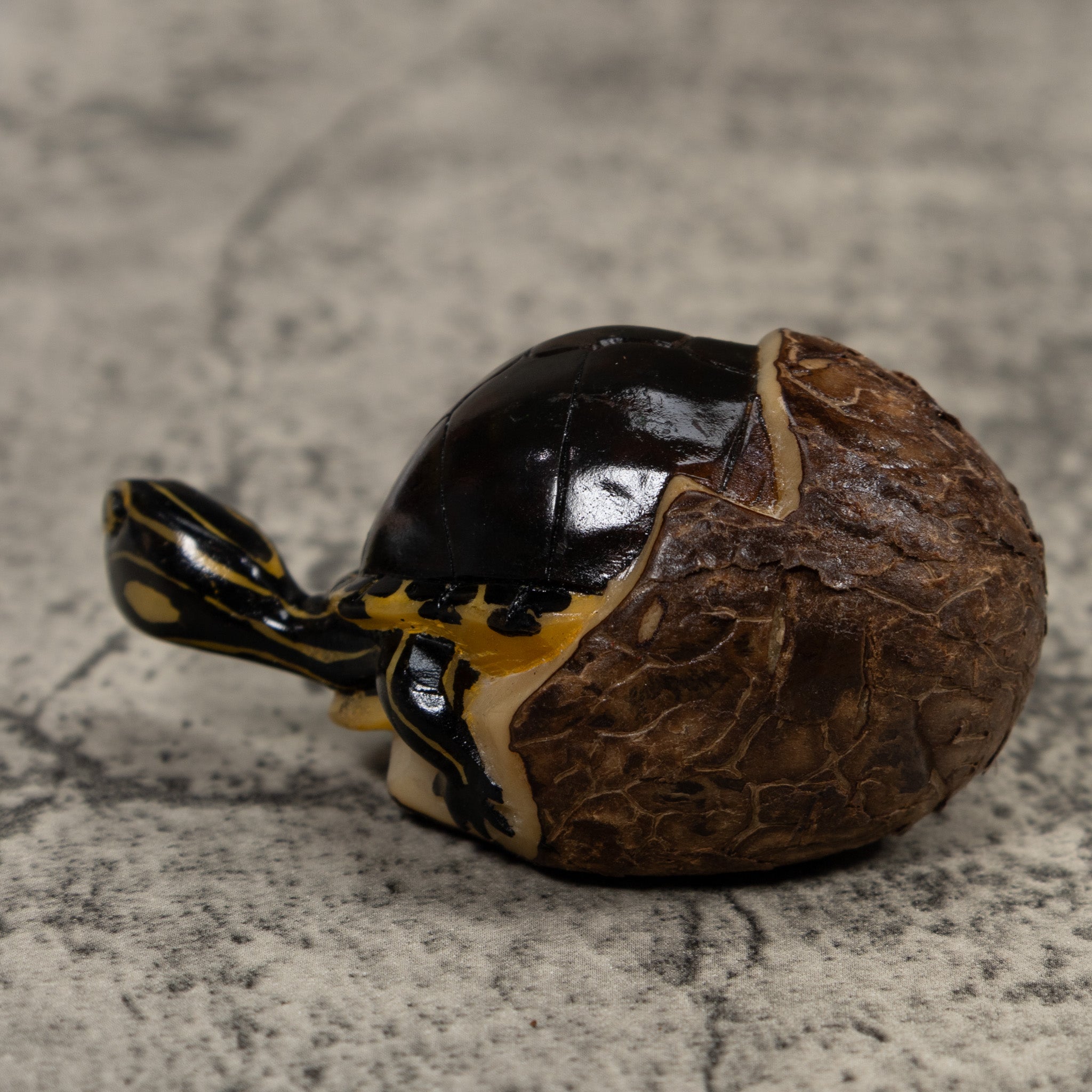 Tortise and Egg Tagua Carving