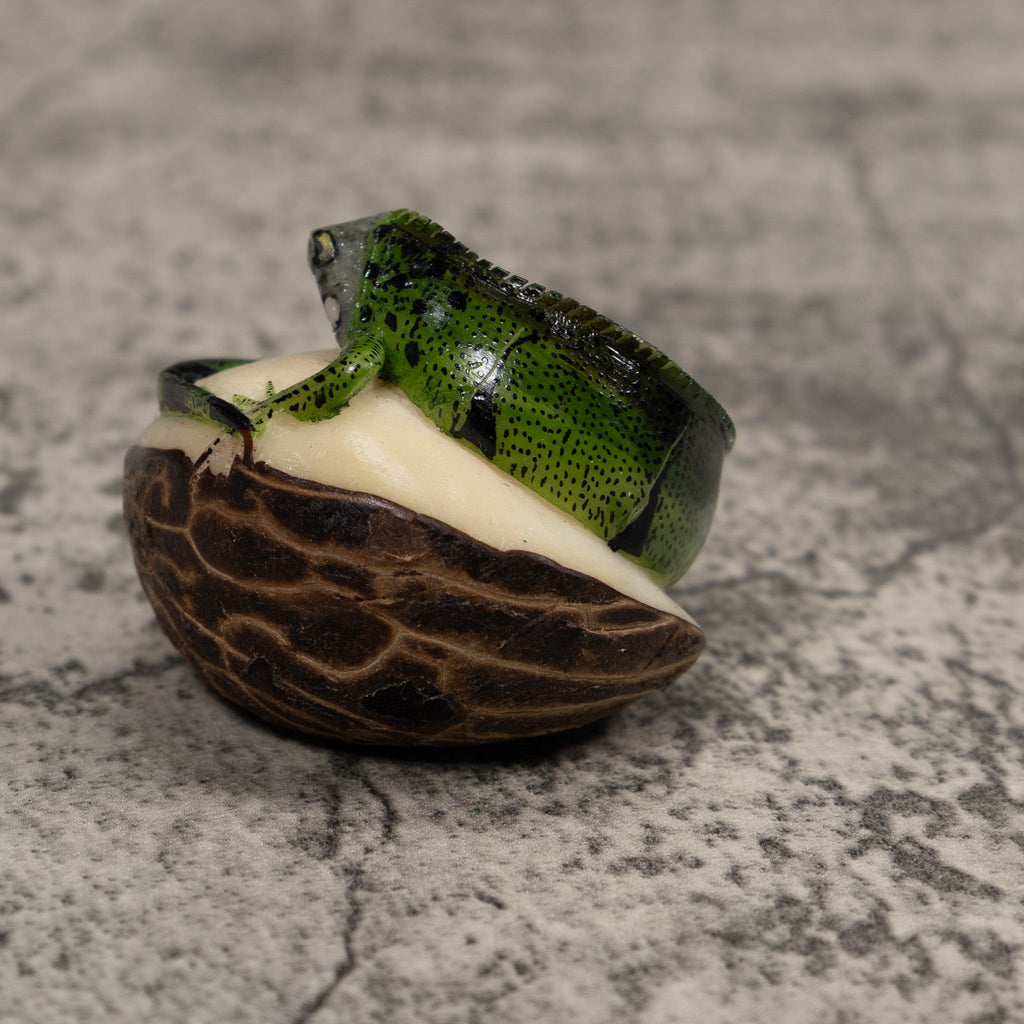 Iguana Lizard Reptile Tagua Carving