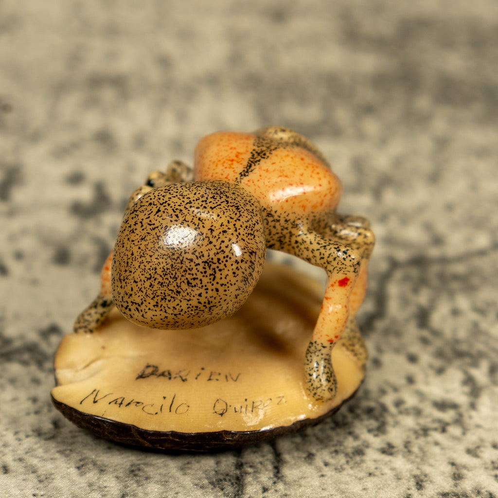 Vintage Undercut Ant Insect Tagua Carving