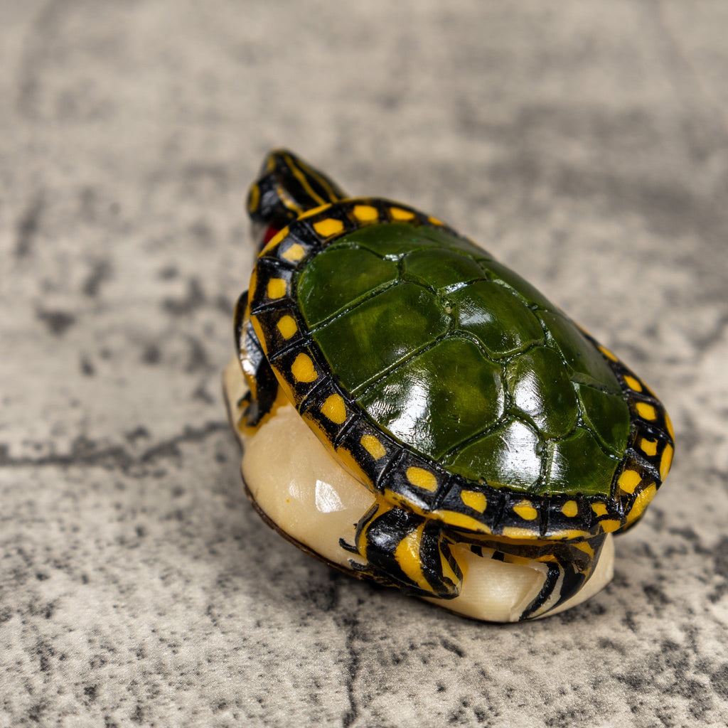 Green Yellow Tortoise Turtle Tagua Carving