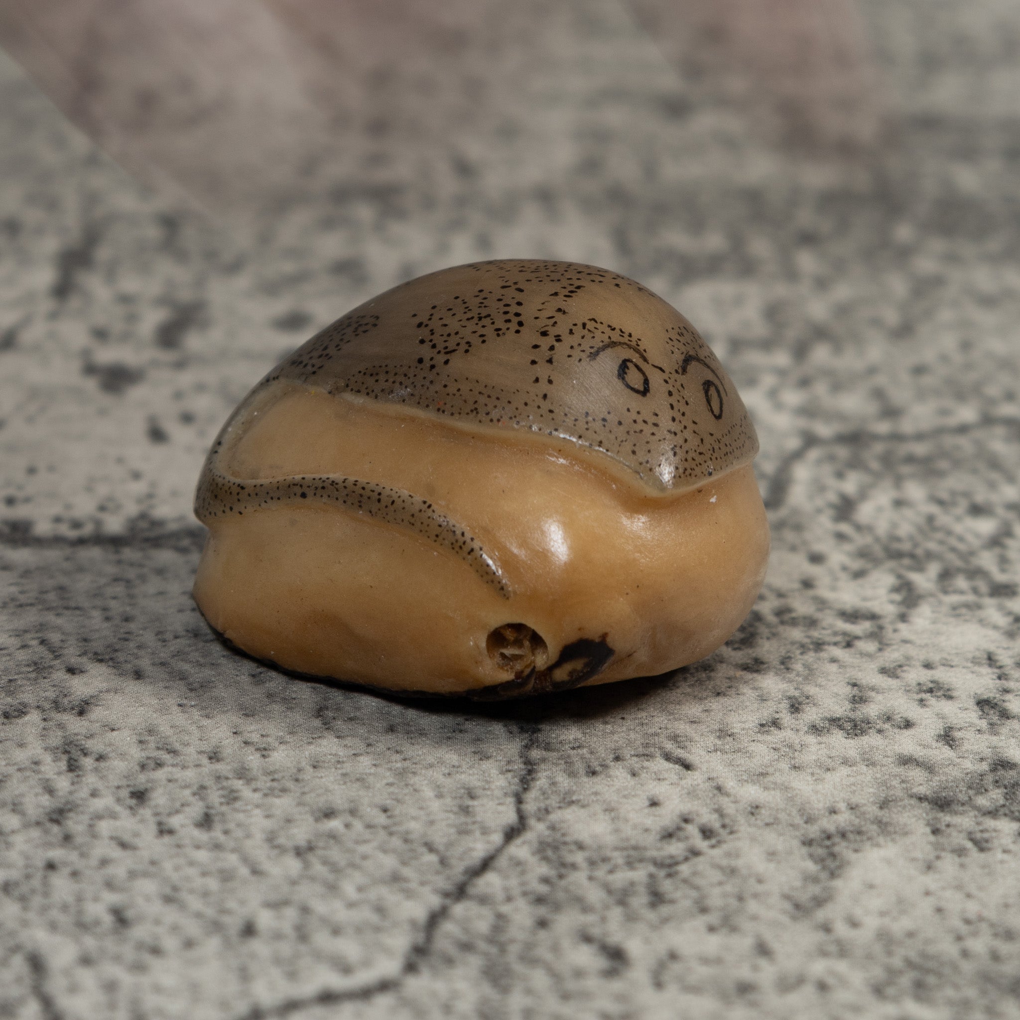 Vintage Ocean Stingray Tagua Carving