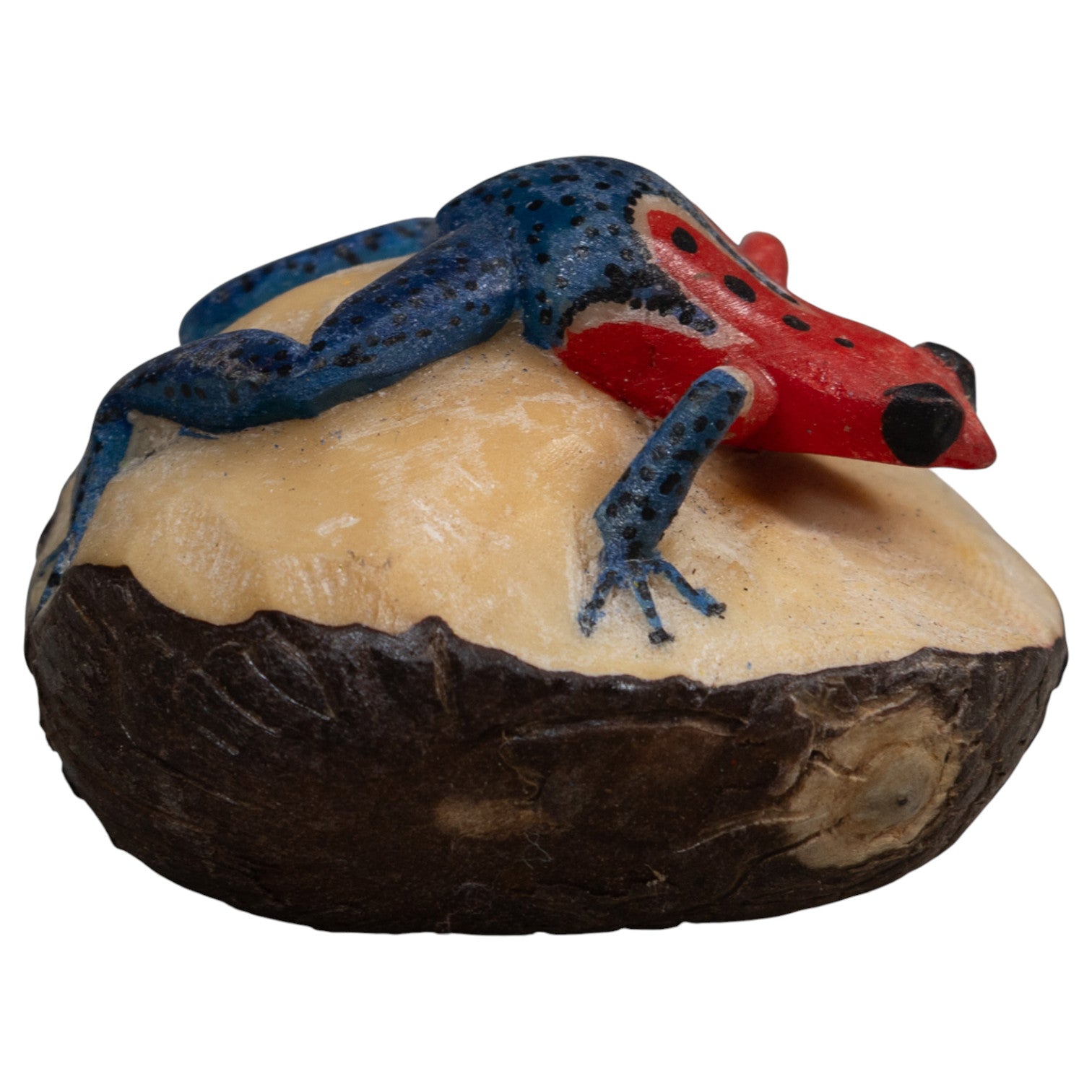Red And Blue Poison Dart Frog Tagua Carving
