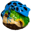 Blue And Black Poison Dart Frog Tagua Carving